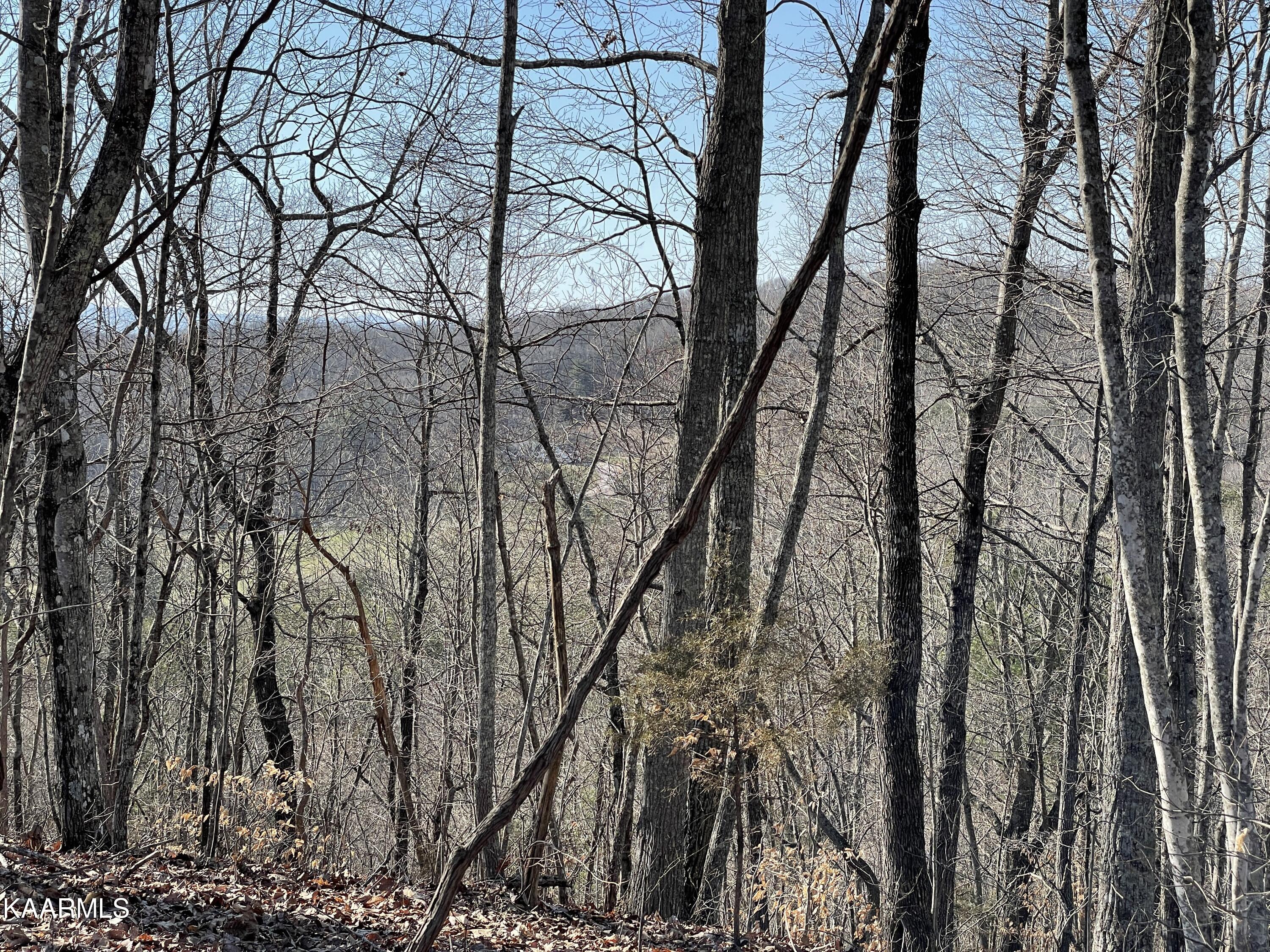 Hickory Valley Road Heiskell, TN 37754 - Photo 16 of 38 Hickory Valley Rd