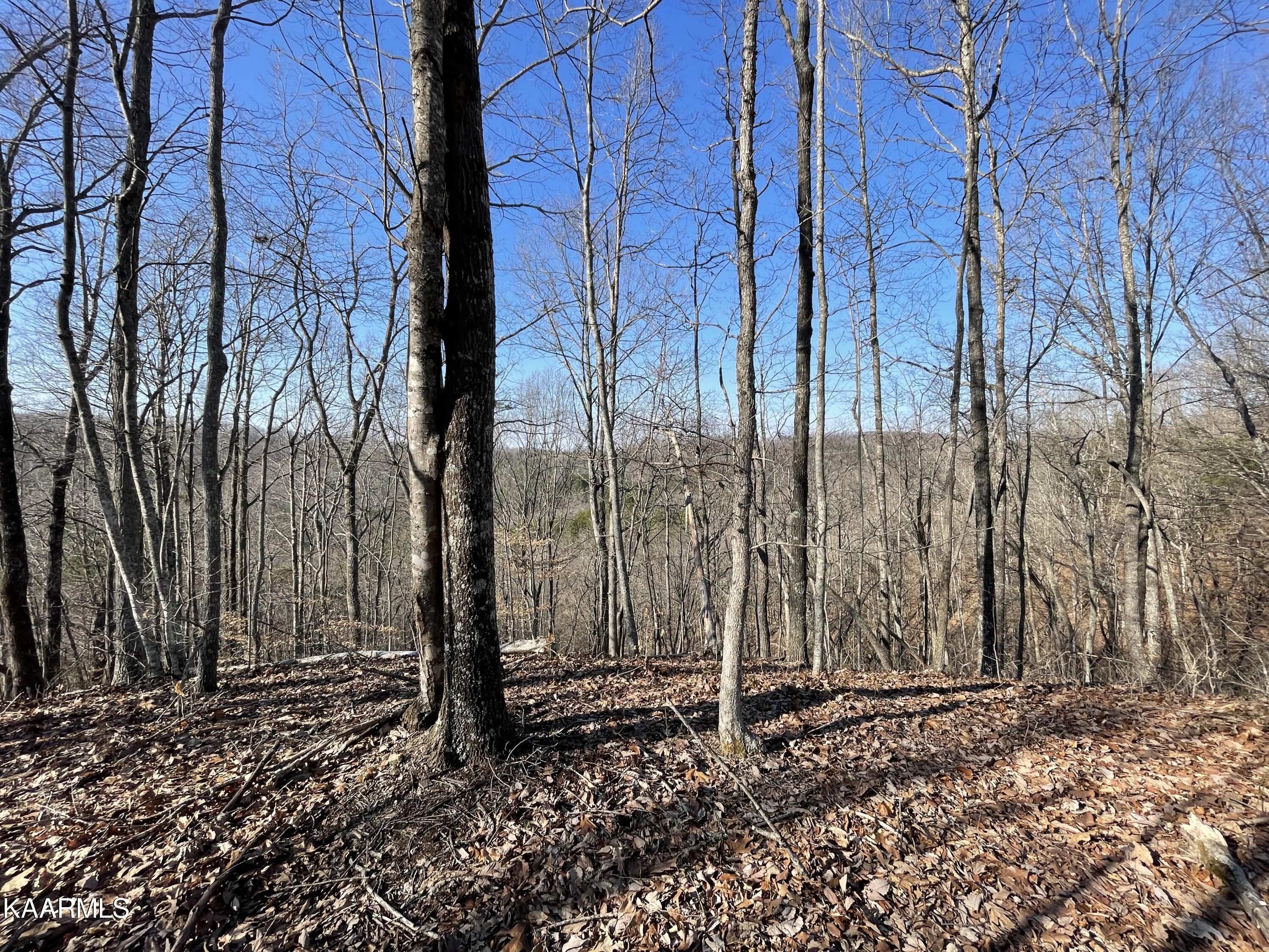 Hickory Valley Road Heiskell, TN 37754 - Photo 17 of 38 Hickory Valley Rd