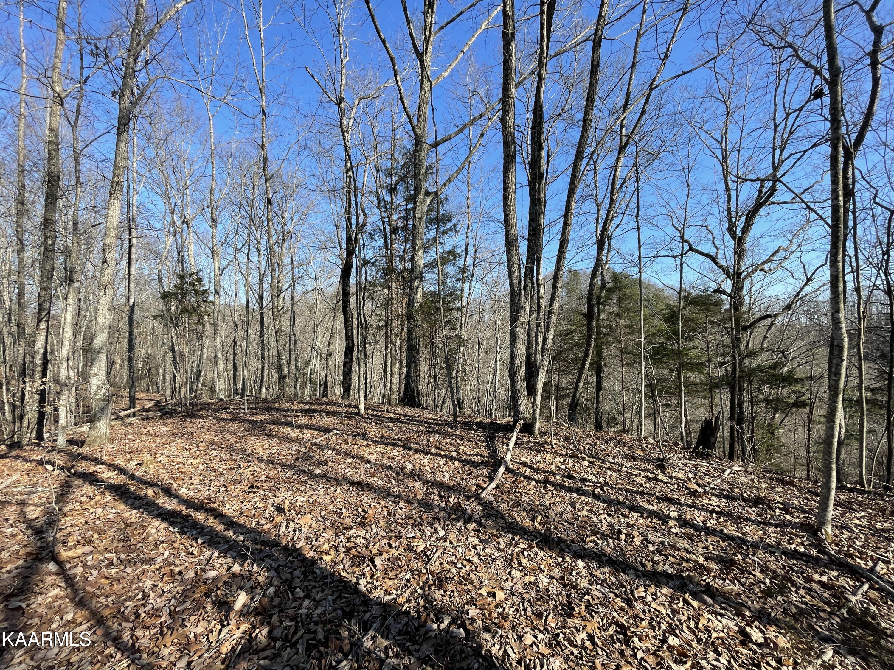 Hickory Valley Road Heiskell, TN 37754 - Photo 18 of 38 Hickory Valley Rd