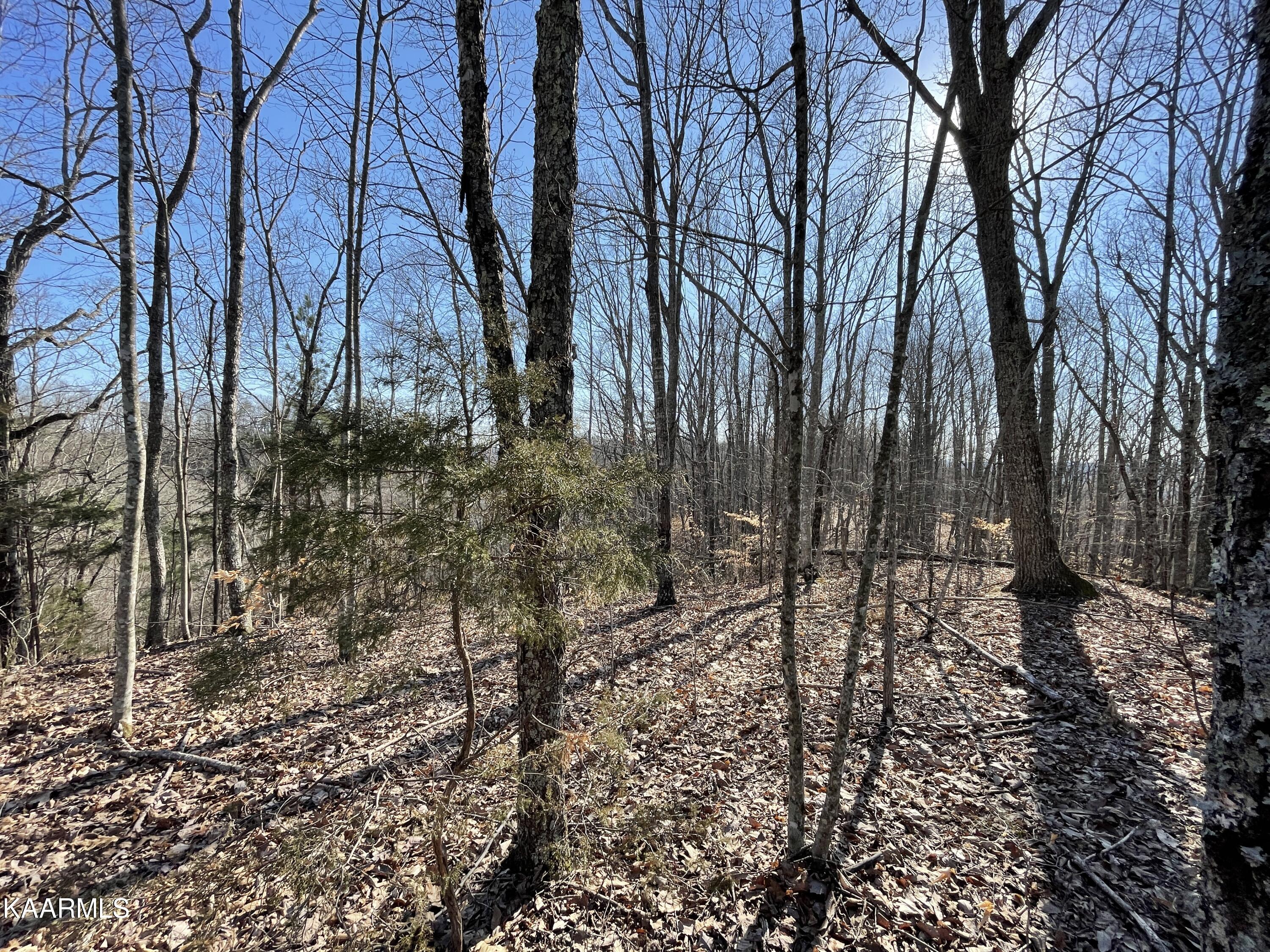 Hickory Valley Road Heiskell, TN 37754 - Photo 19 of 38 Hickory Valley Rd