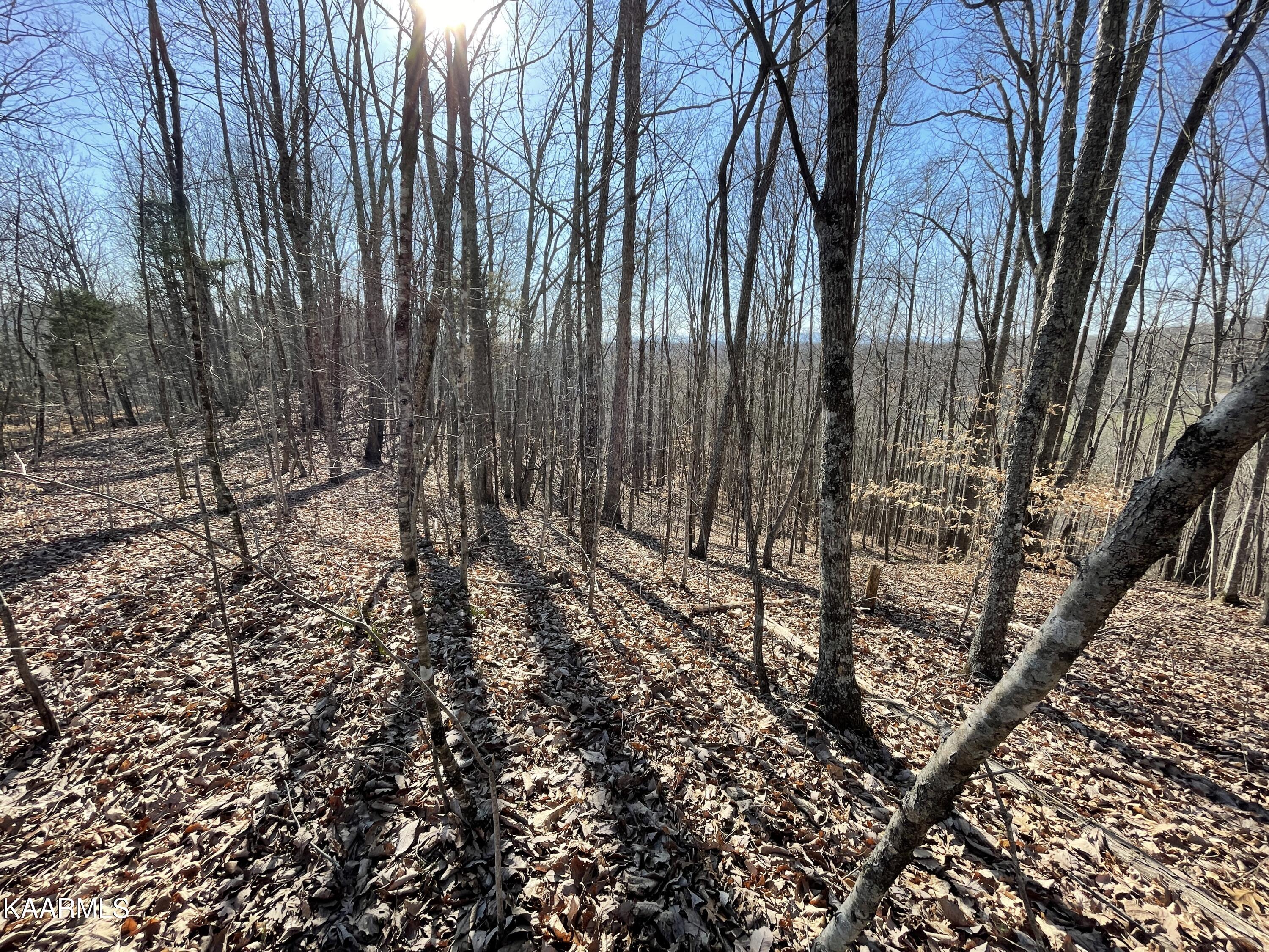 Hickory Valley Road Heiskell, TN 37754 - Photo 20 of 38 Hickory Valley Rd