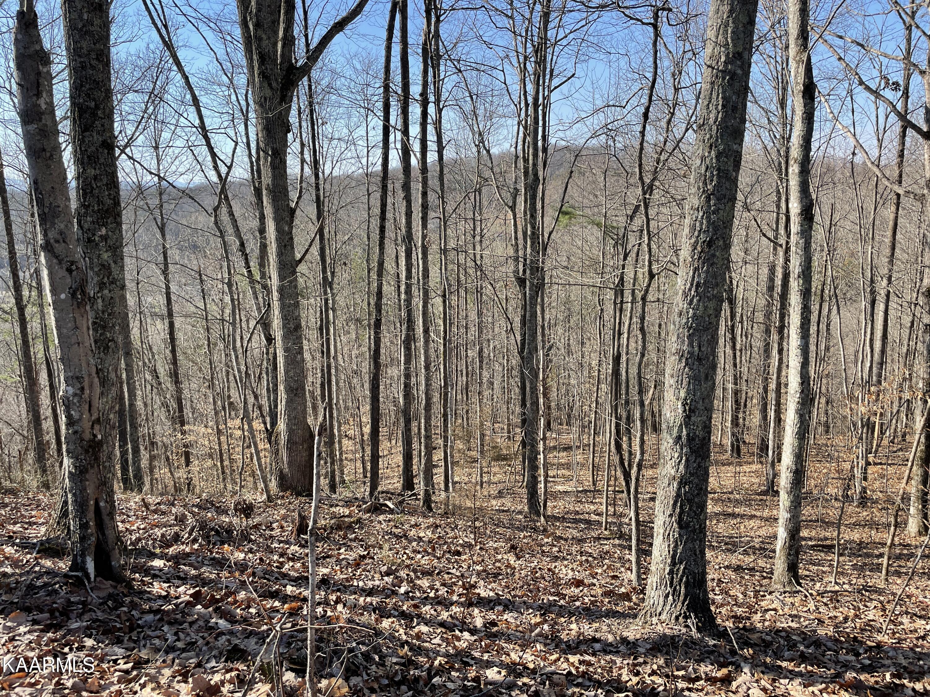 Hickory Valley Road Heiskell, TN 37754 - Photo 21 of 38 Hickory Valley Rd