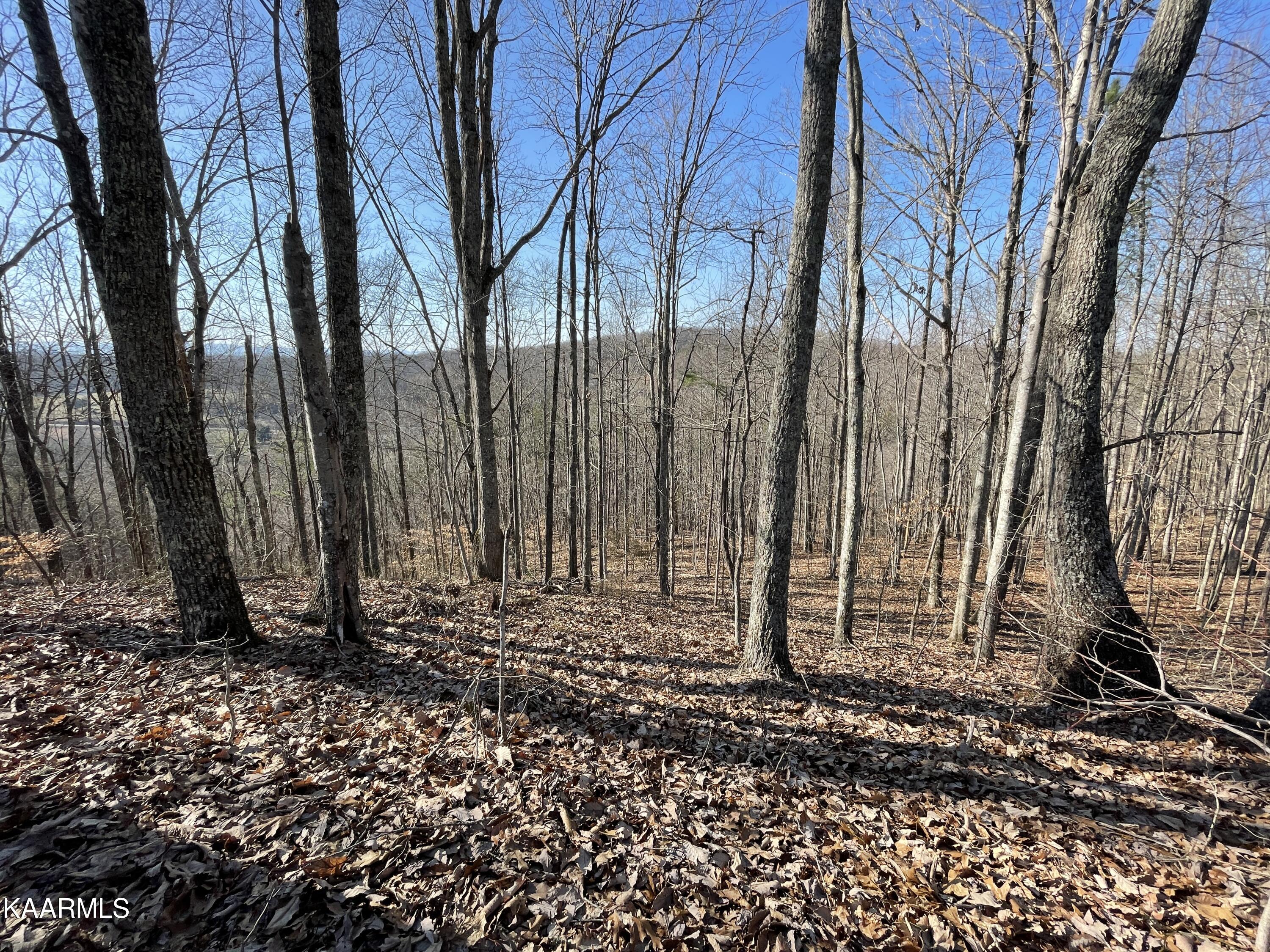 Hickory Valley Road Heiskell, TN 37754 - Photo 22 of 38 Hickory Valley Rd