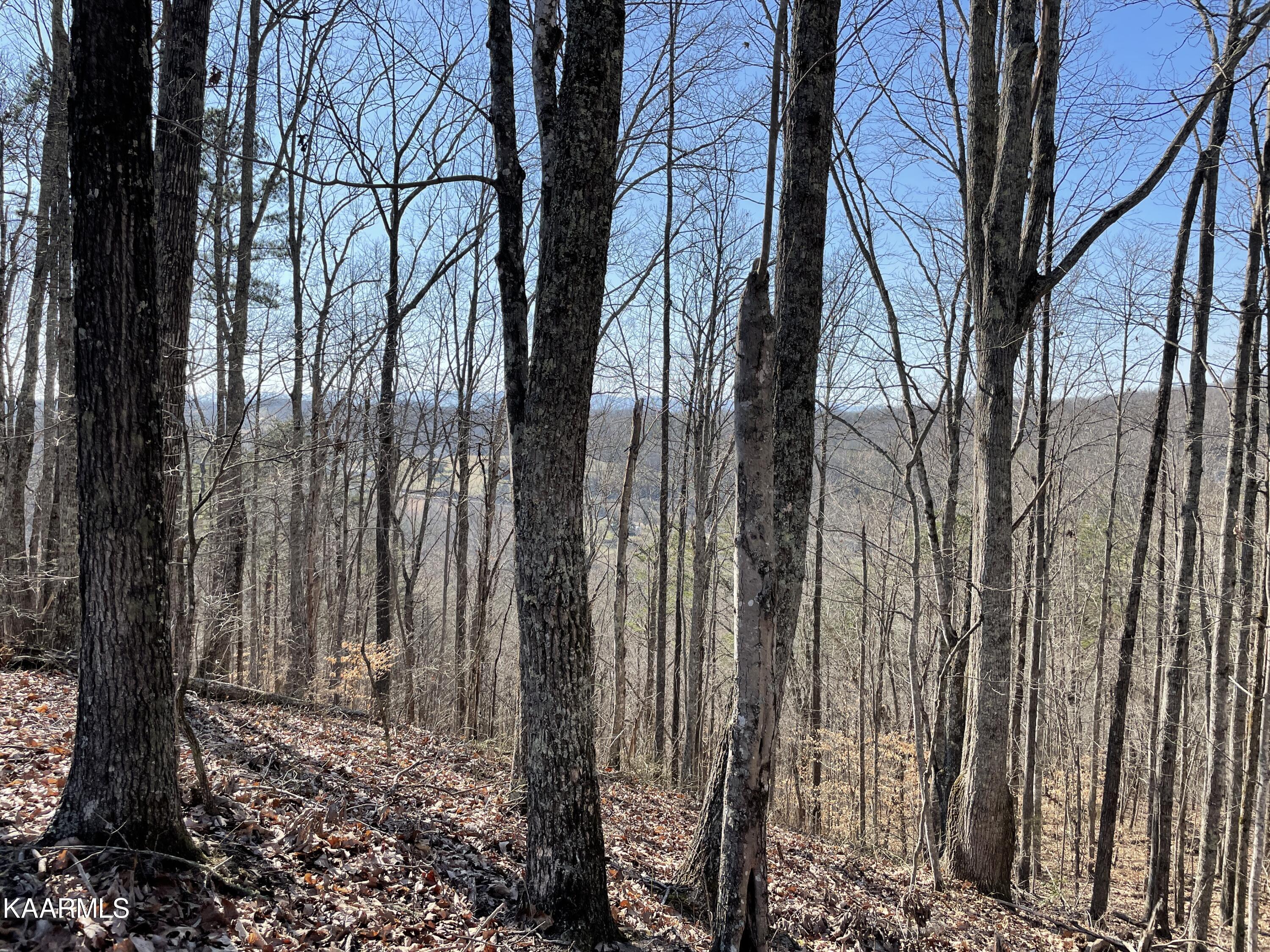 Hickory Valley Road Heiskell, TN 37754 - Photo 23 of 38 Hickory Valley Rd