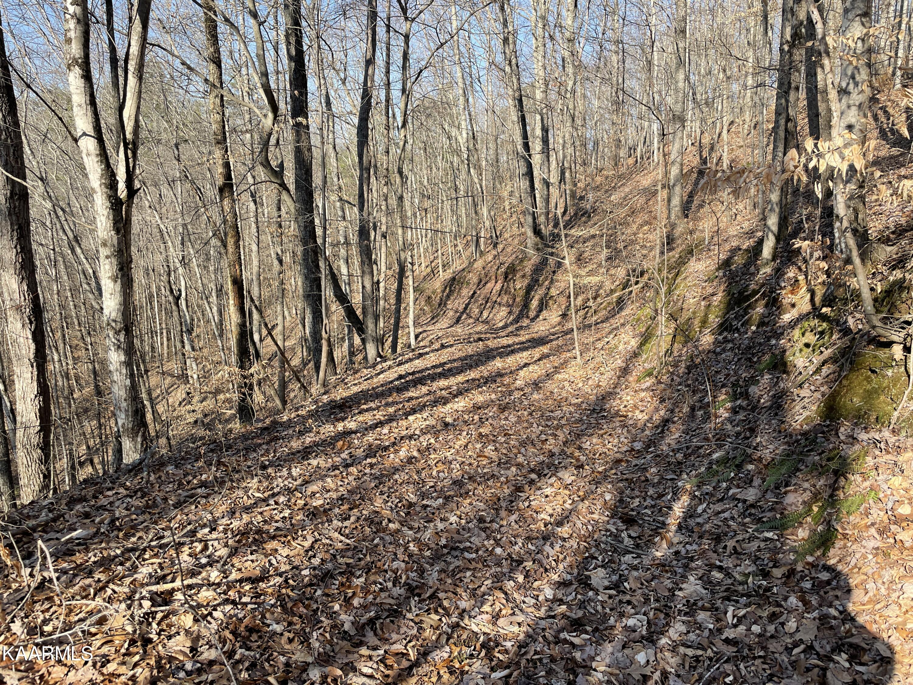 Hickory Valley Road Heiskell, TN 37754 - Photo 24 of 38 Trail