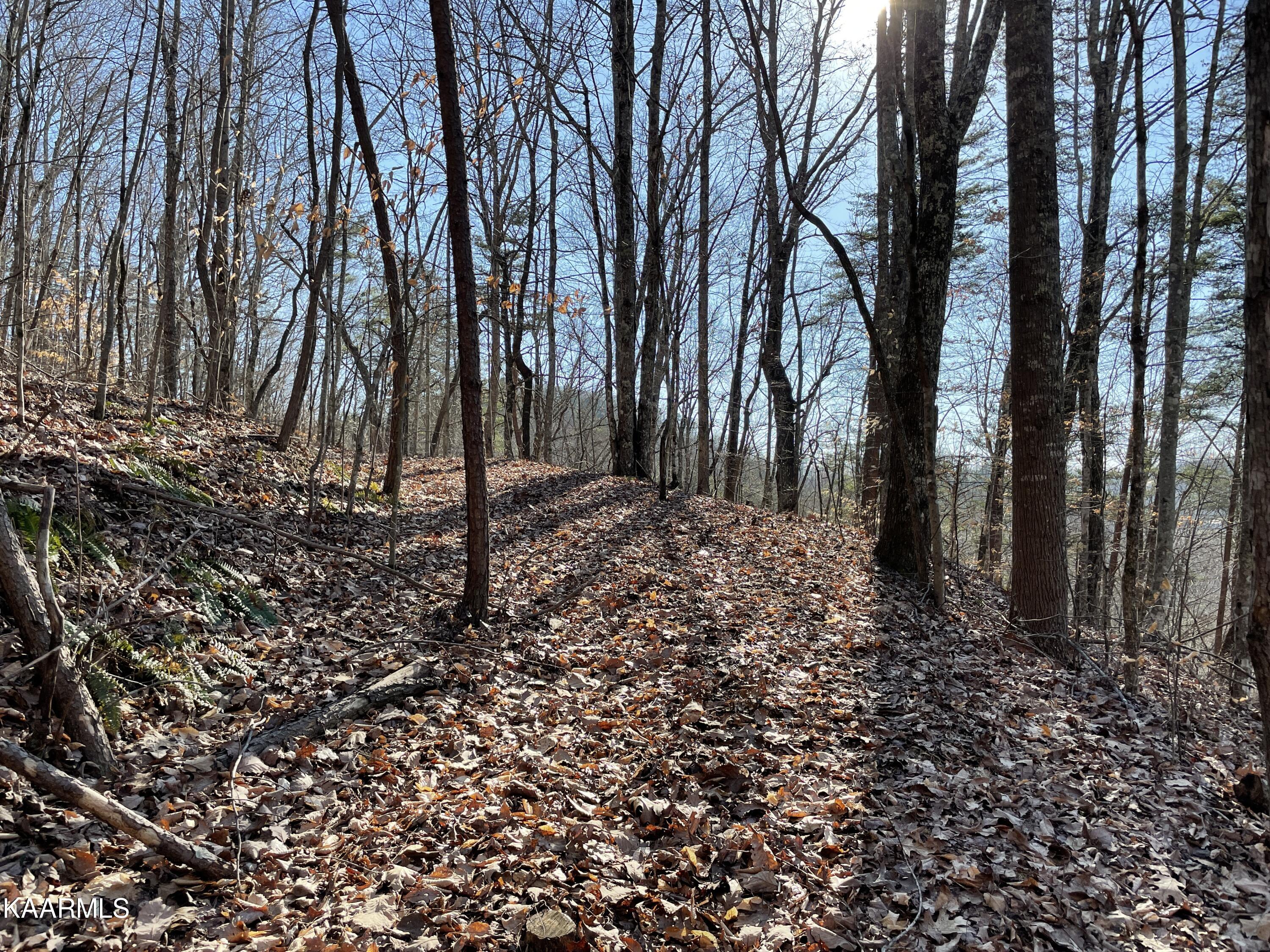 Hickory Valley Road Heiskell, TN 37754 - Photo 28 of 38 Trail