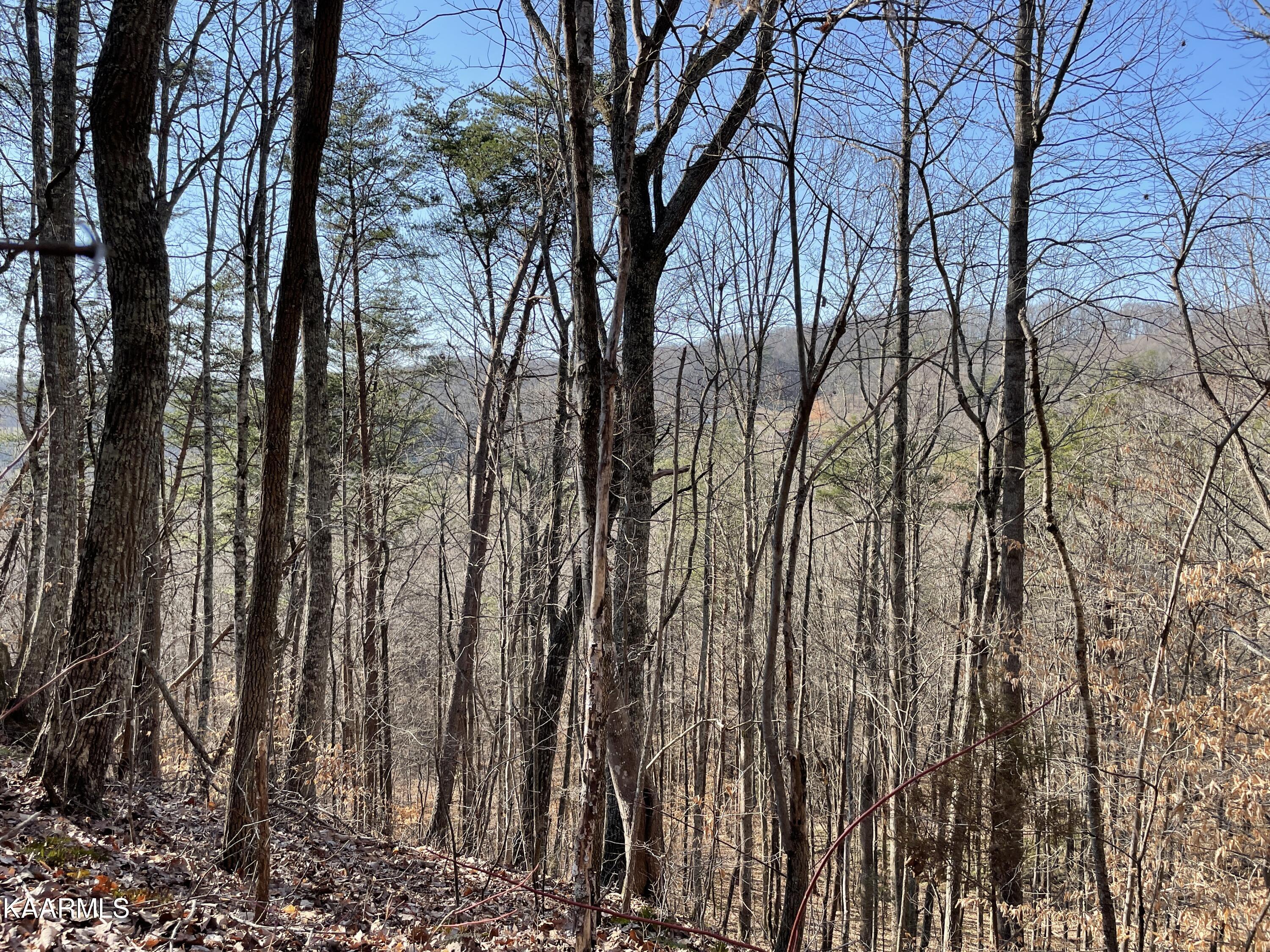 Hickory Valley Road Heiskell, TN 37754 - Photo 29 of 38 Hickory Valley Rd