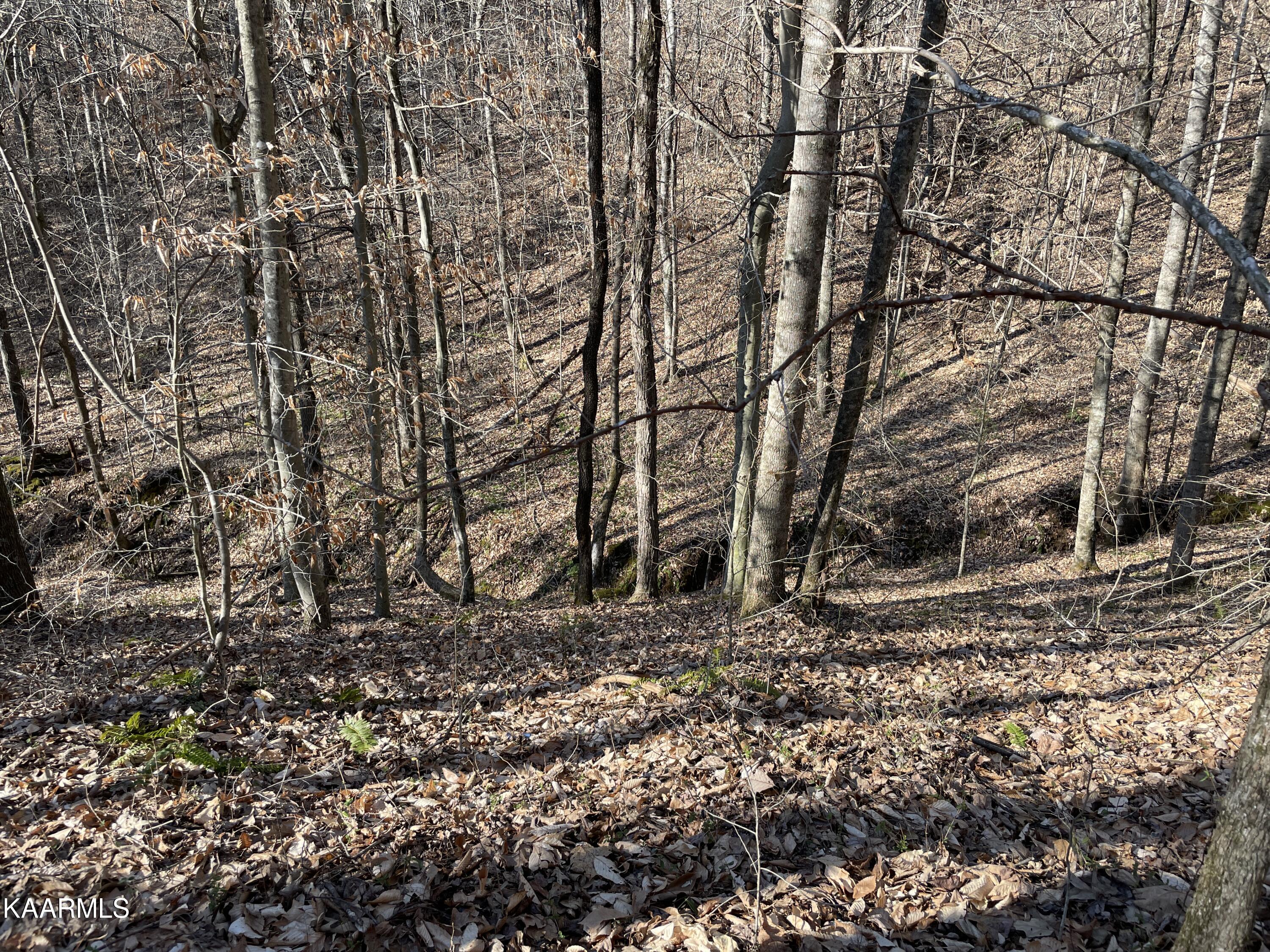 Hickory Valley Road Heiskell, TN 37754 - Photo 32 of 38 Hickory Valley Rd