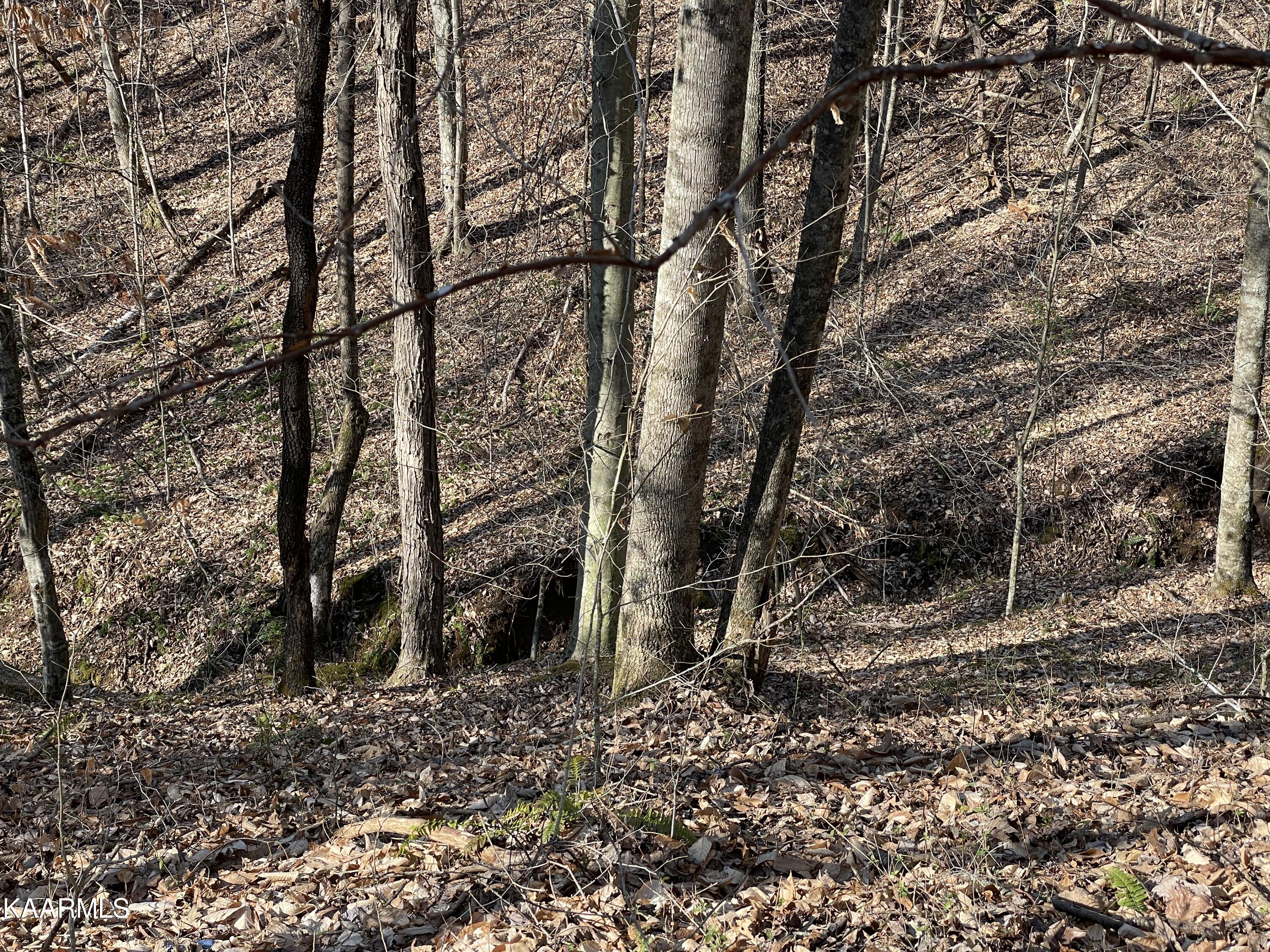 Hickory Valley Road Heiskell, TN 37754 - Photo 33 of 38 Hickory Valley Rd