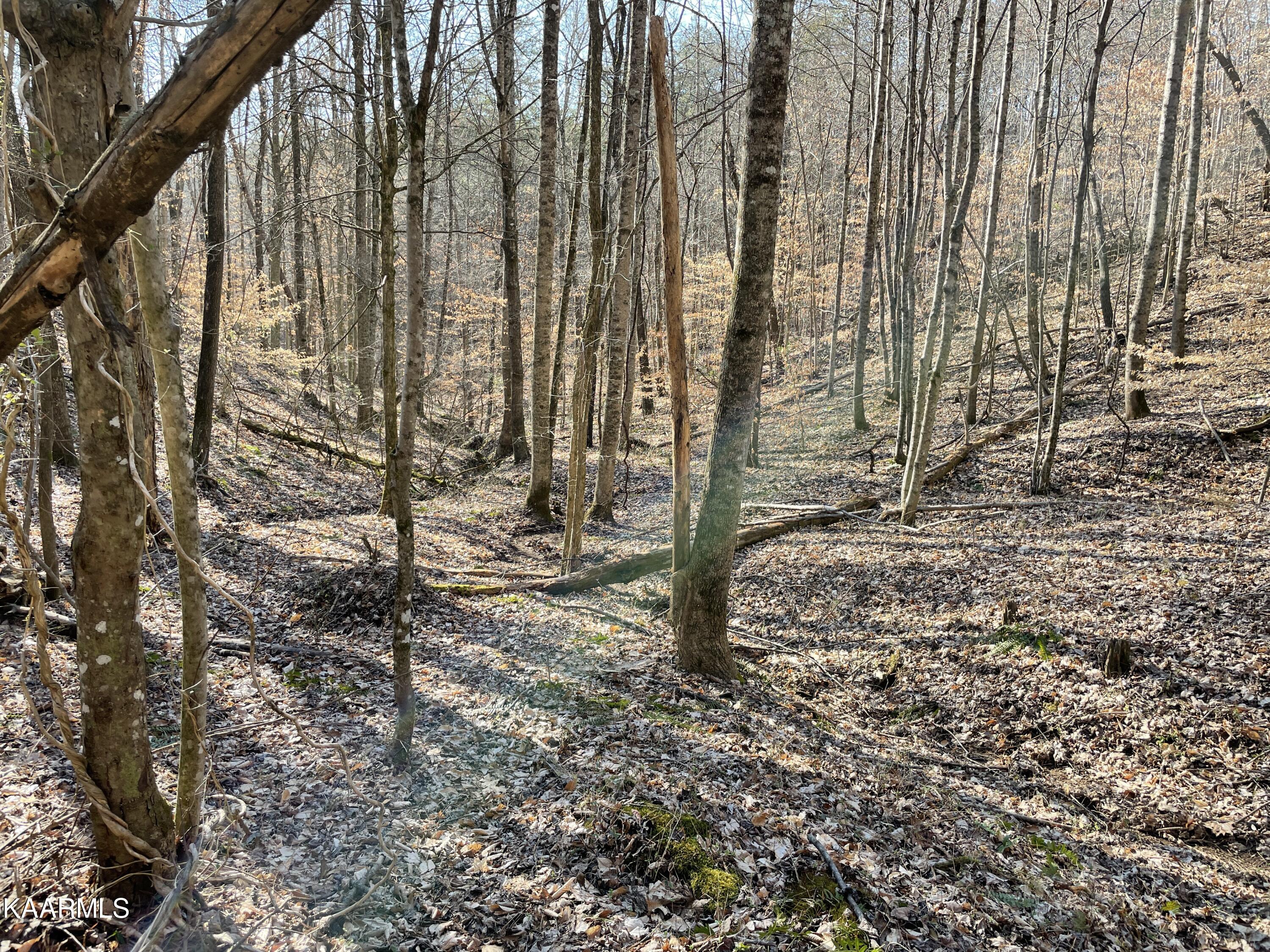 Hickory Valley Road Heiskell, TN 37754 - Photo 34 of 38 Hickory Valley Rd