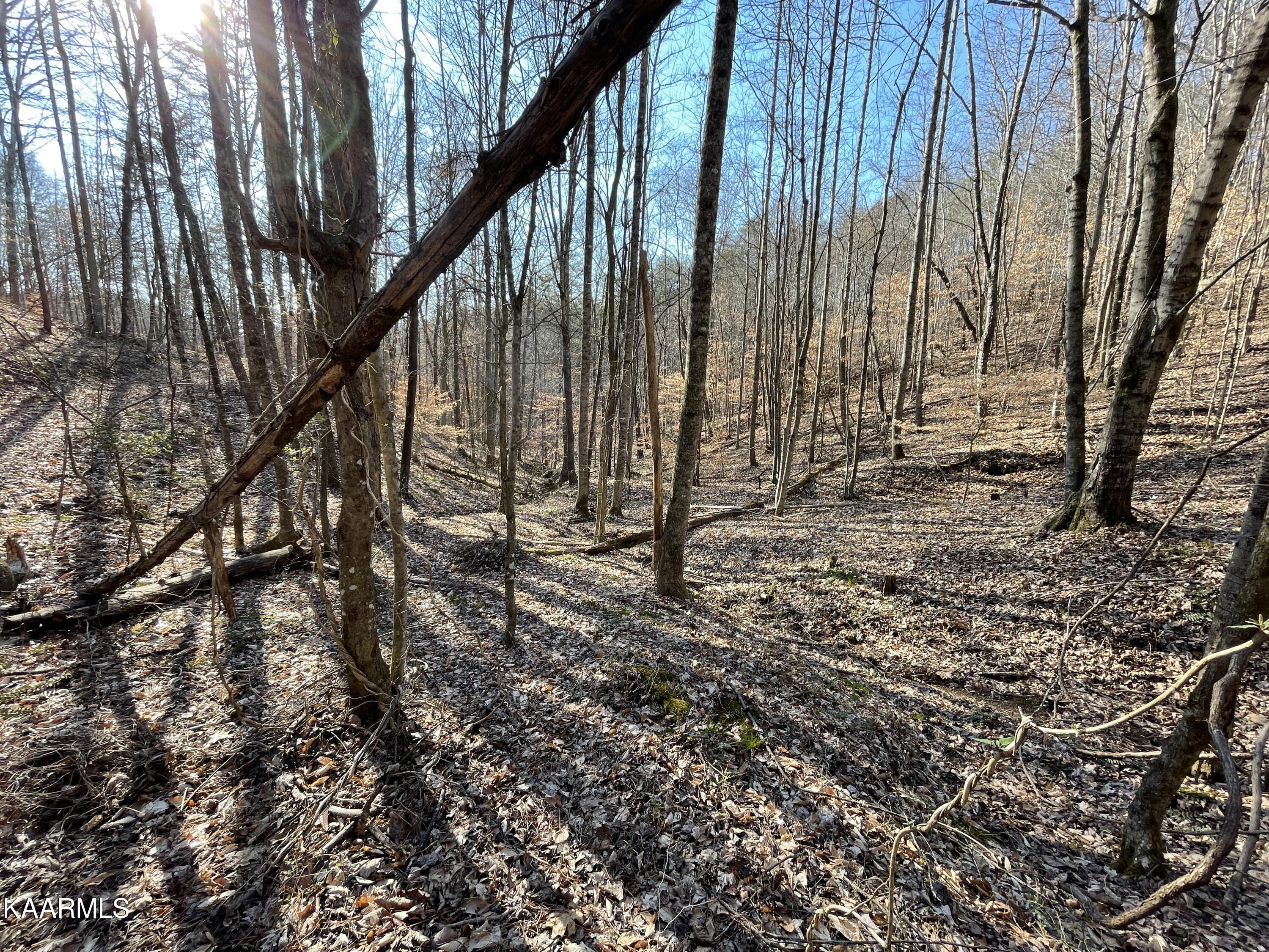 Hickory Valley Road Heiskell, TN 37754 - Photo 35 of 38 Hickory Valley Rd