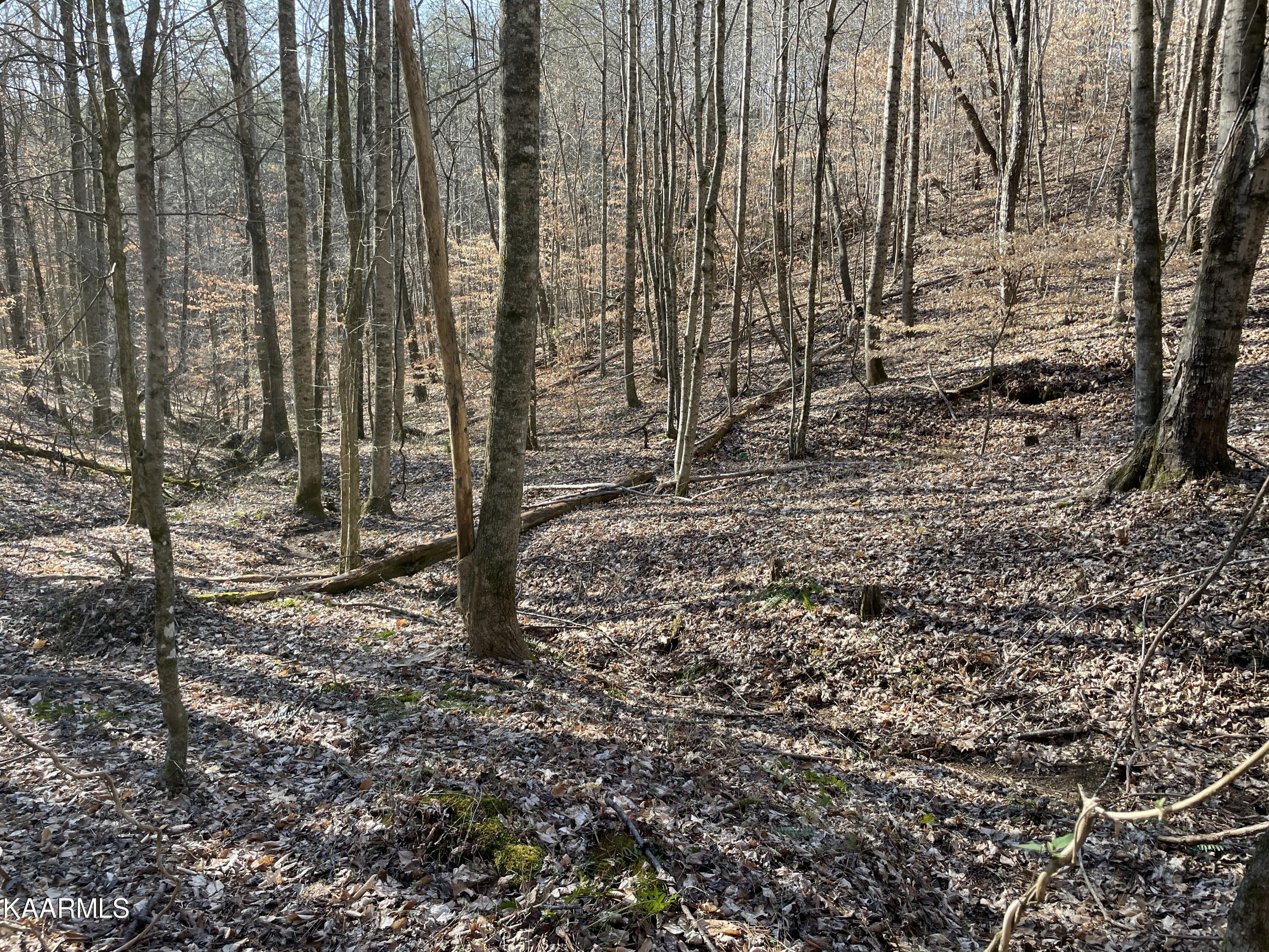 Hickory Valley Road Heiskell, TN 37754 - Photo 36 of 38 Hickory Valley Rd