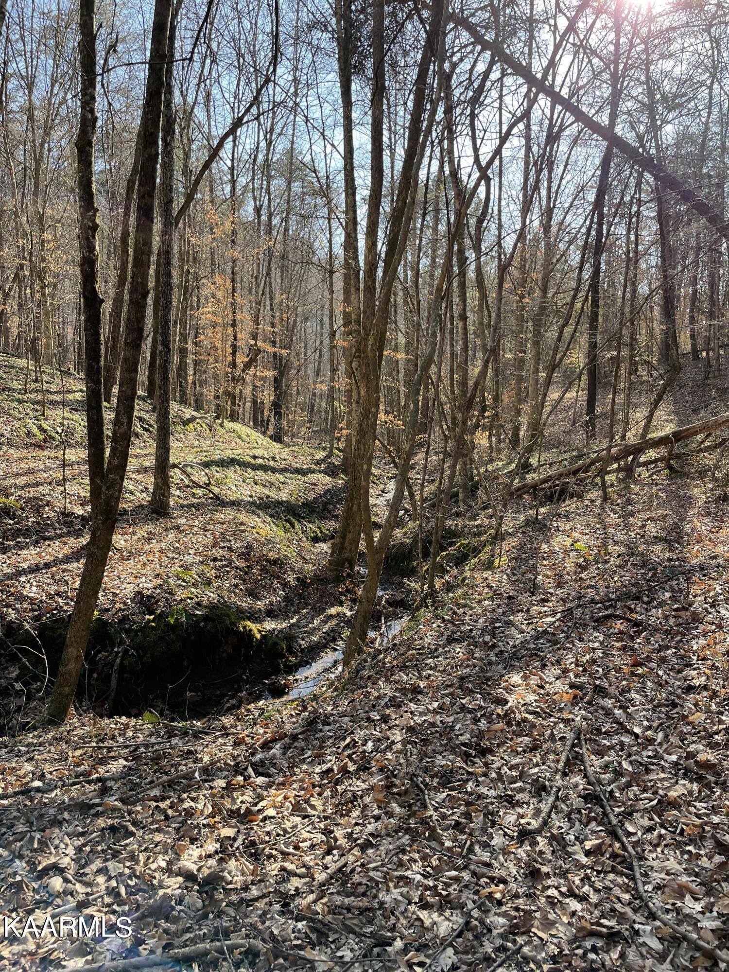 Hickory Valley Road Heiskell, TN 37754 - Photo 37 of 38 Hickory Valley Rd