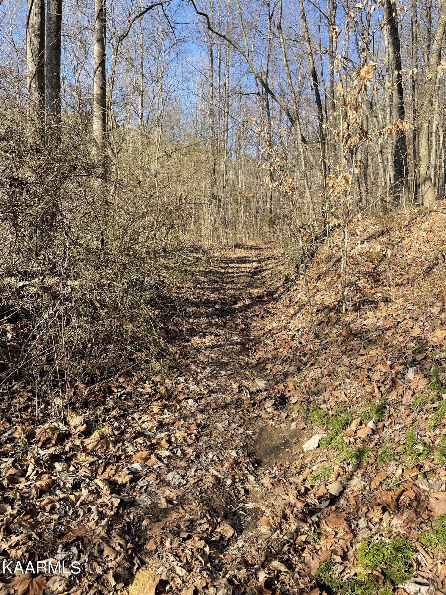 Hickory Valley Road Heiskell, TN 37754 - Photo 38 of 38 Hickory Valley Rd