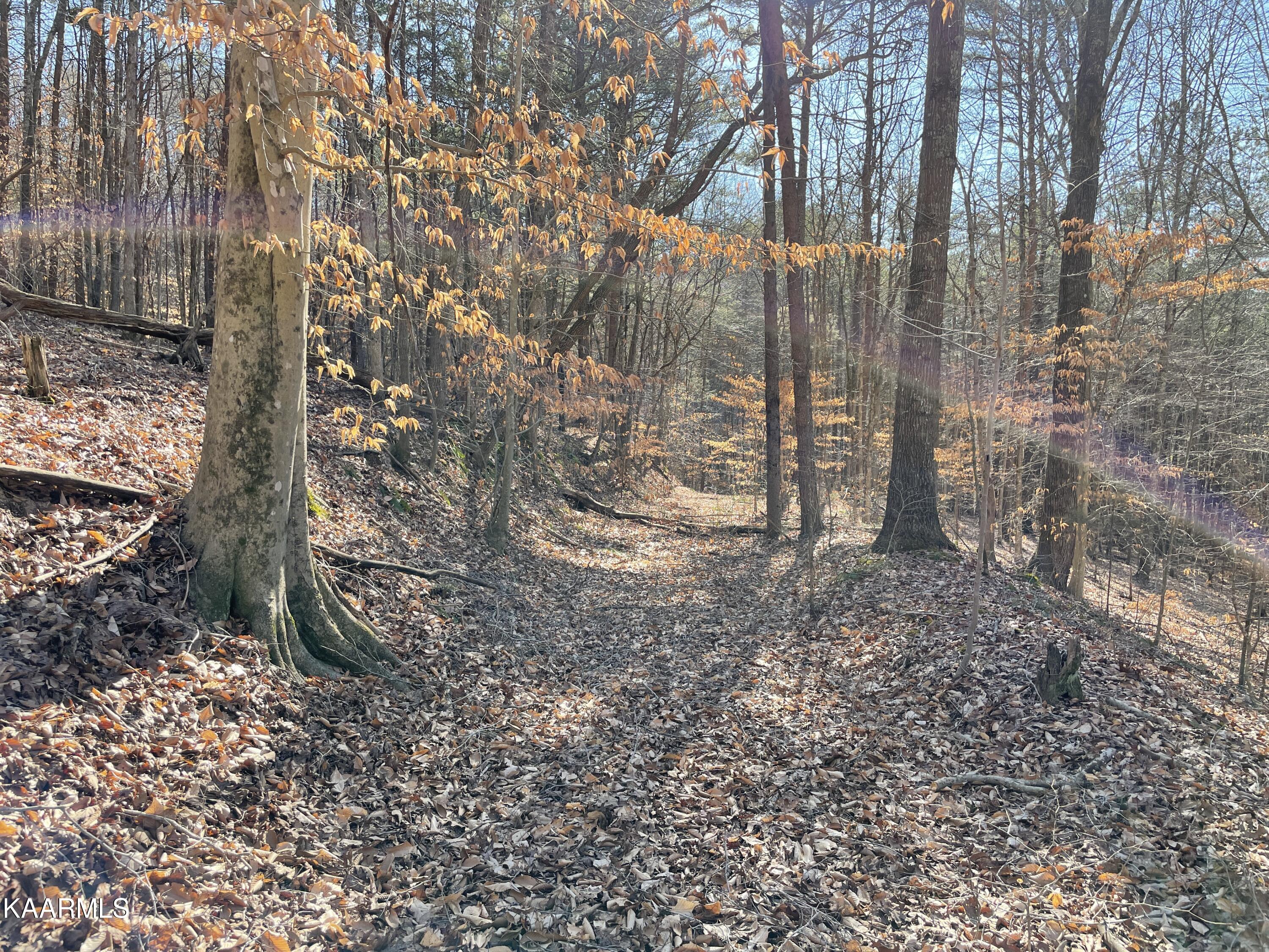 Hickory Valley Road Heiskell, TN 37754 - Photo 7 of 38 Trail