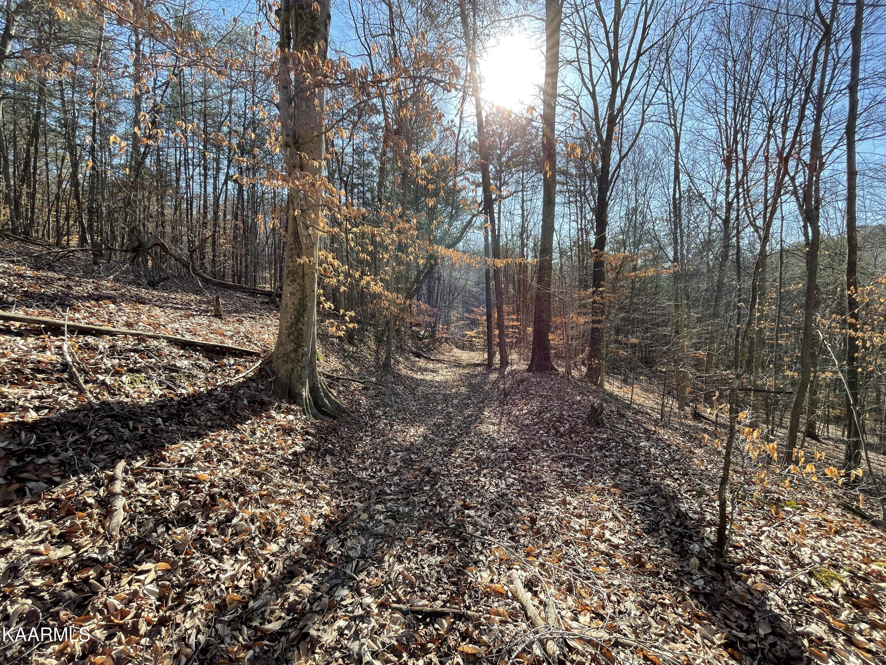 Hickory Valley Road Heiskell, TN 37754 - Photo 8 of 38 Hickory Valley Rd