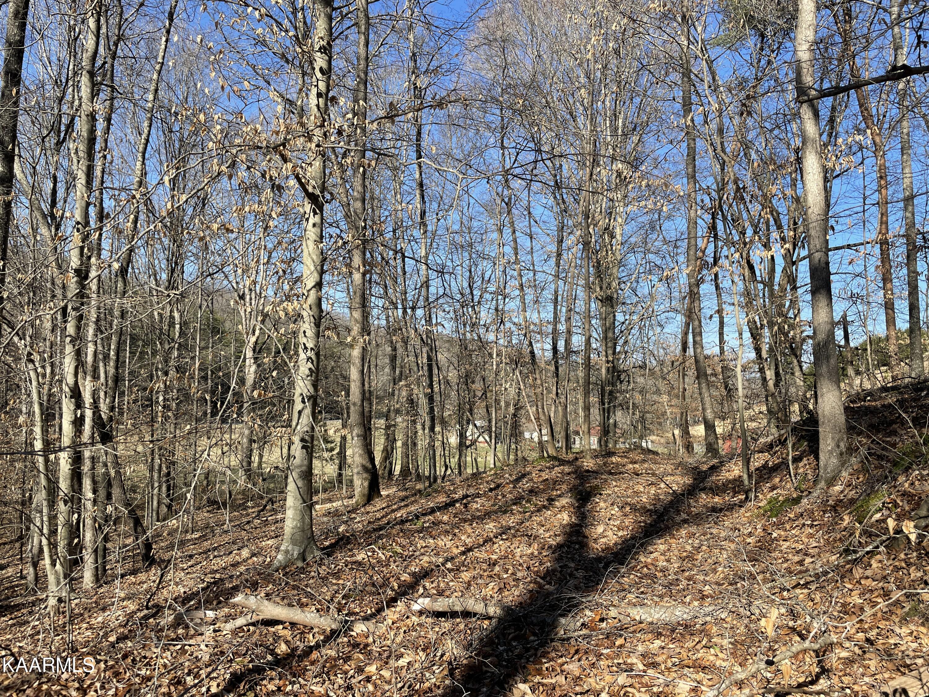 Hickory Valley Road Heiskell, TN 37754 - Photo 10 of 38 Hickory Valley Rd