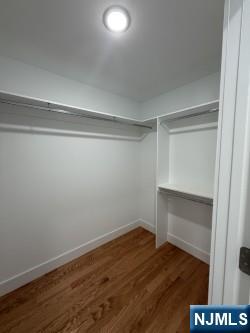 459 Washington Avenue Rutherford, NJ 07070 - Photo 29 of 44