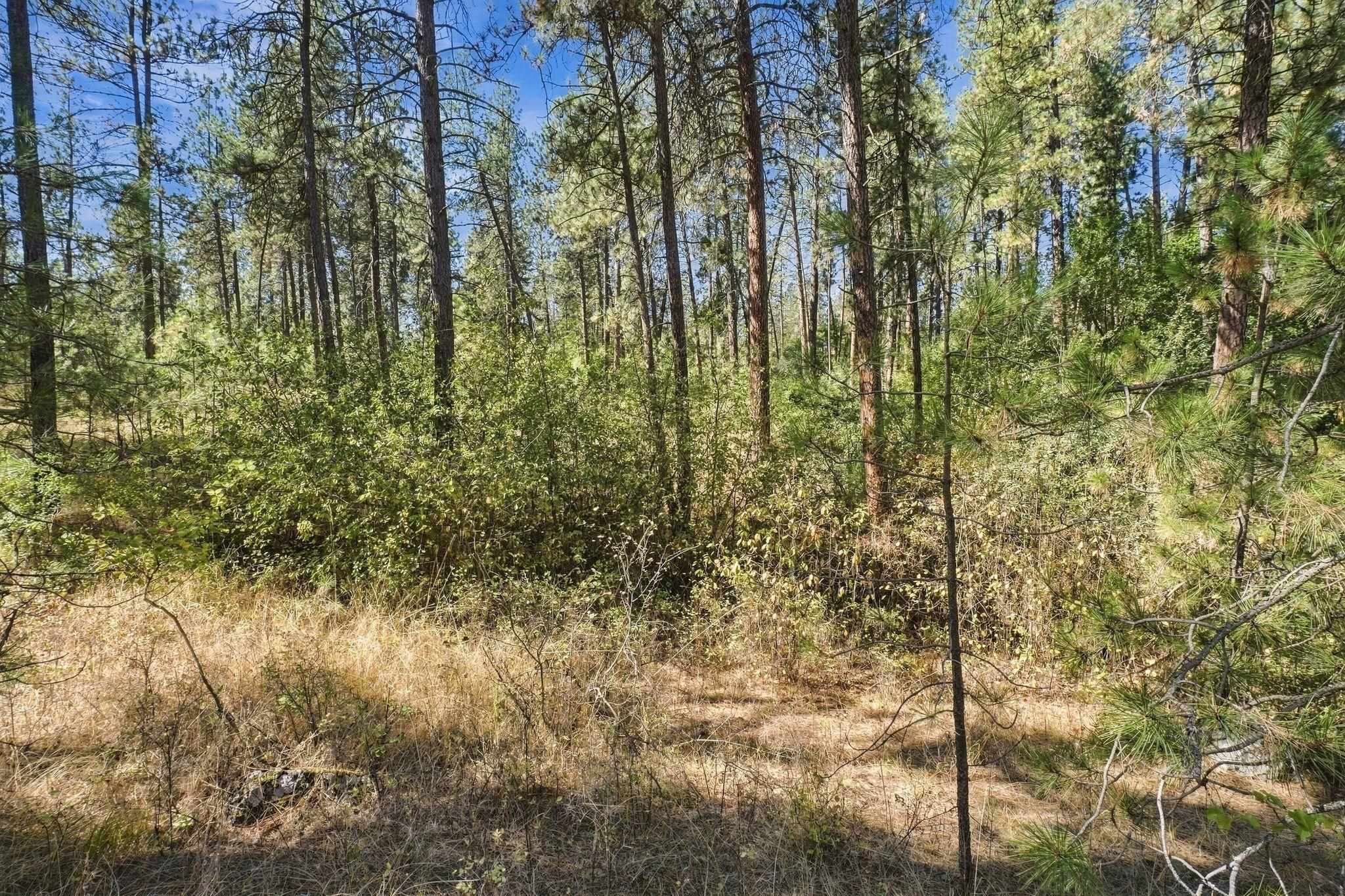 Xxx West Thorpe Road Spokane, WA 99224 - Photo 5 of 15 Gallery Image 5