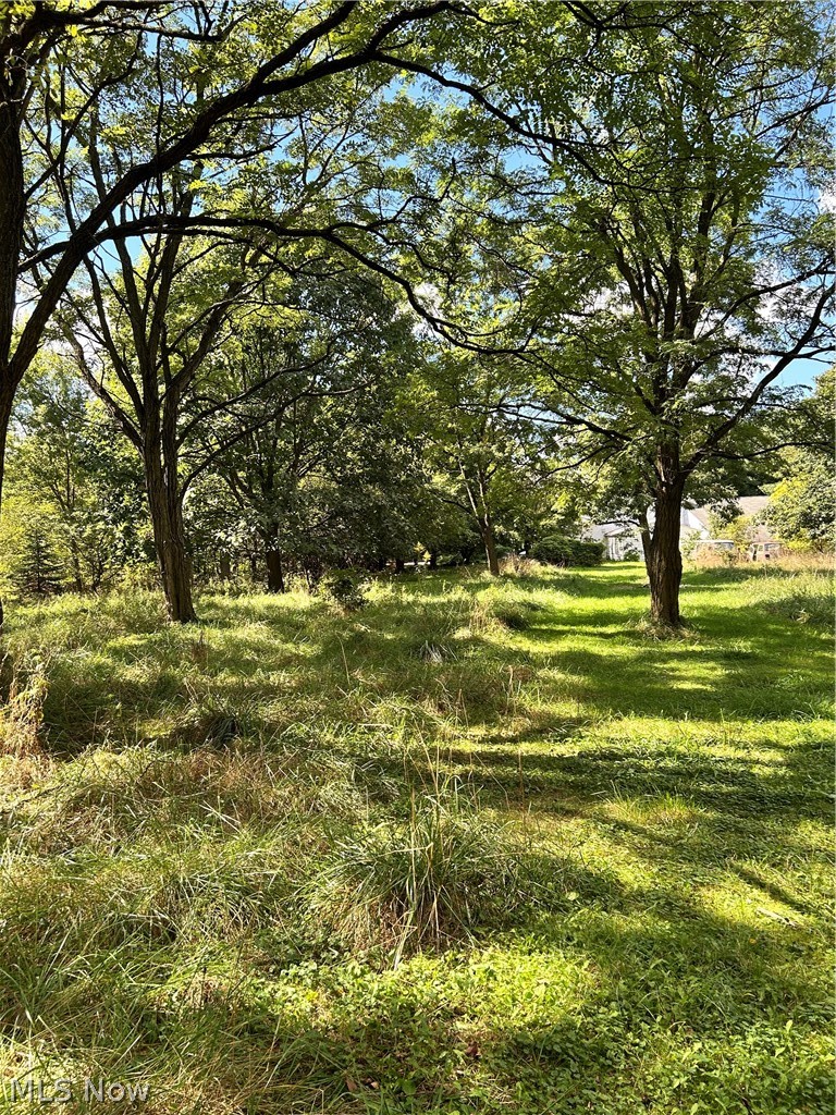 991 Marks Road Brunswick, OH 44212 - Photo 28 of 34 Expansive lot with mature trees and natural landscaping