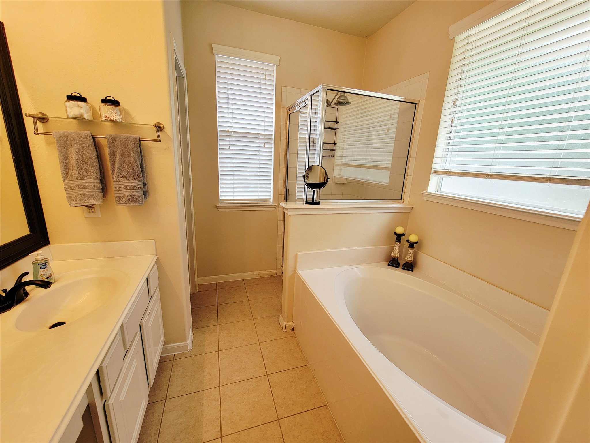 24606 Twisted Birch Court Spring, TX 77373 - Photo 15 of 27
