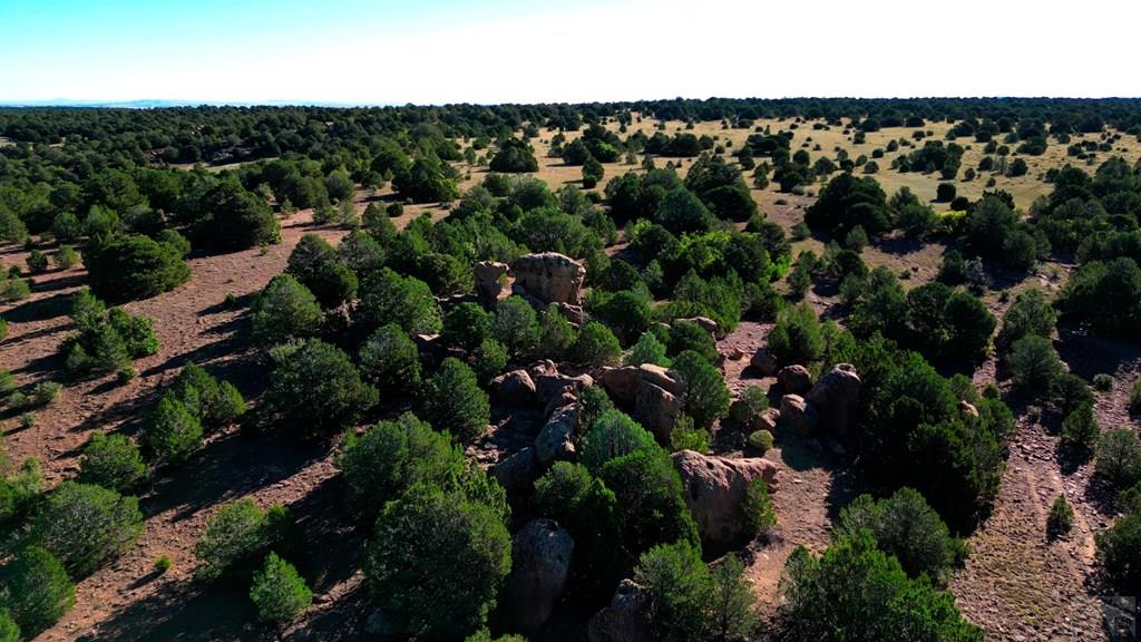 Tbd Bear Creek Road Walsenburg, CO 81089 - Photo 15 of 37