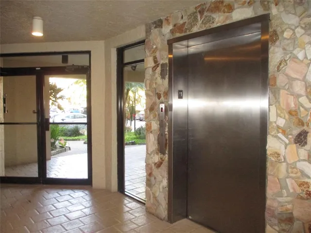 a view of a garden with plants