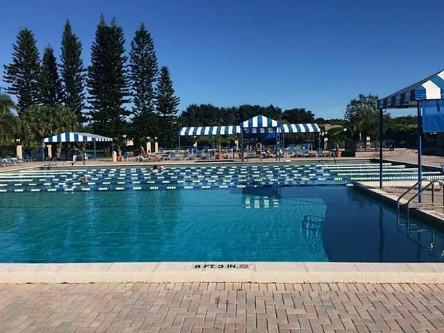 a view of a swimming pool with a garden and plants