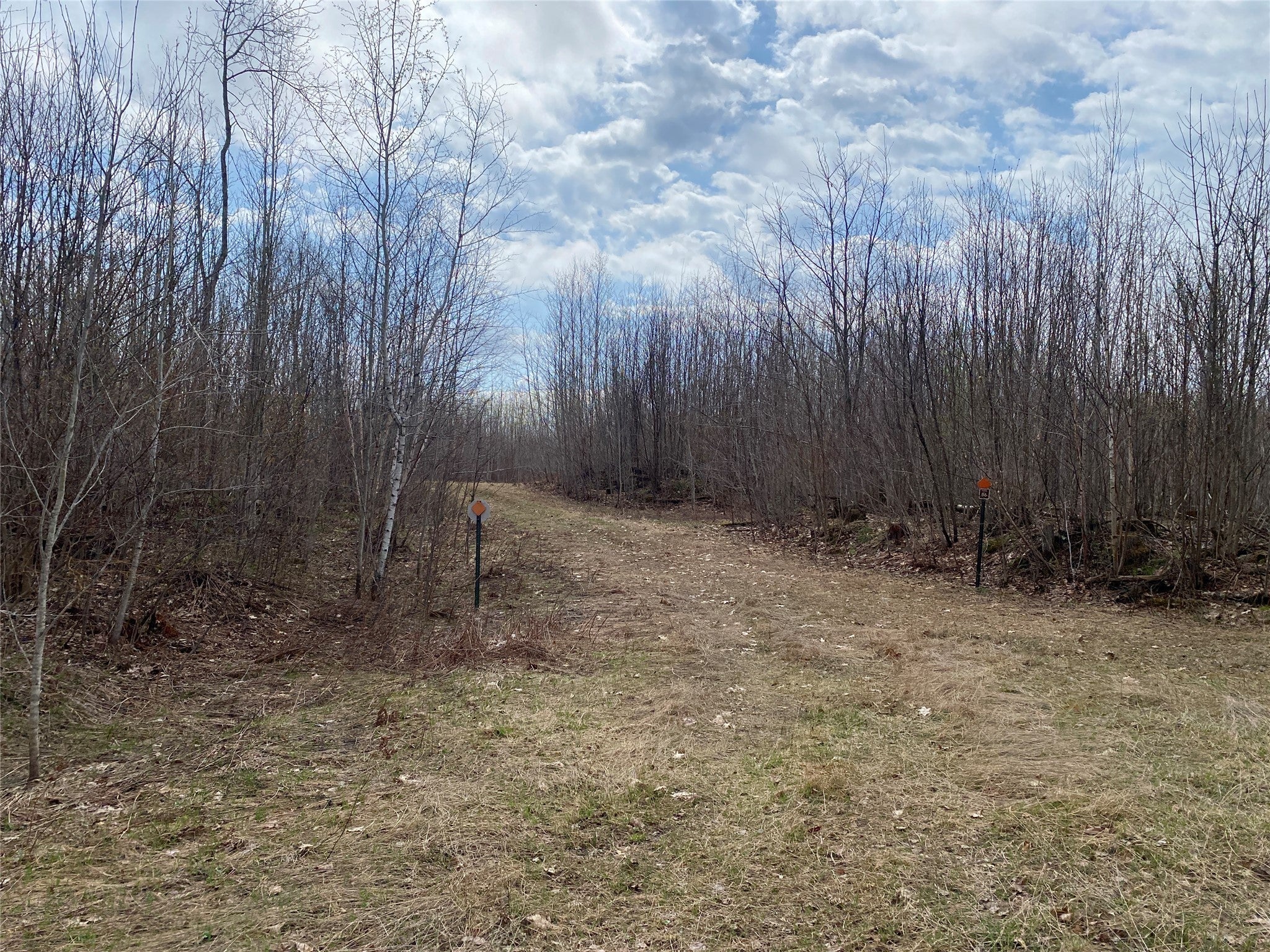 Near Wilson Lake Road Phillips, WI 54555 - Photo 6 of 6 Gallery Image 6