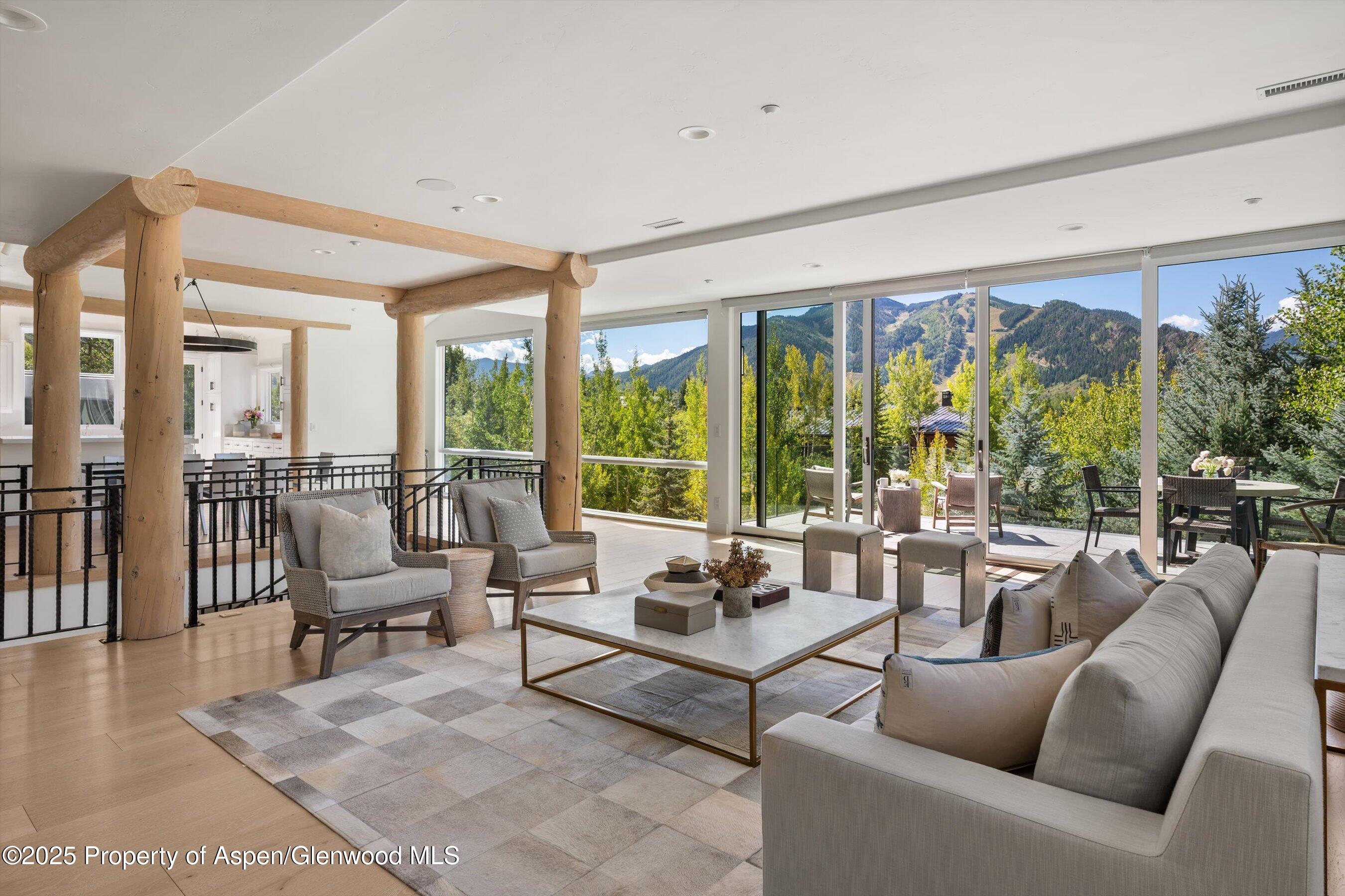 155 Nighthawk Drive Aspen, CO 81612 - Photo 2 of 35 Great Room