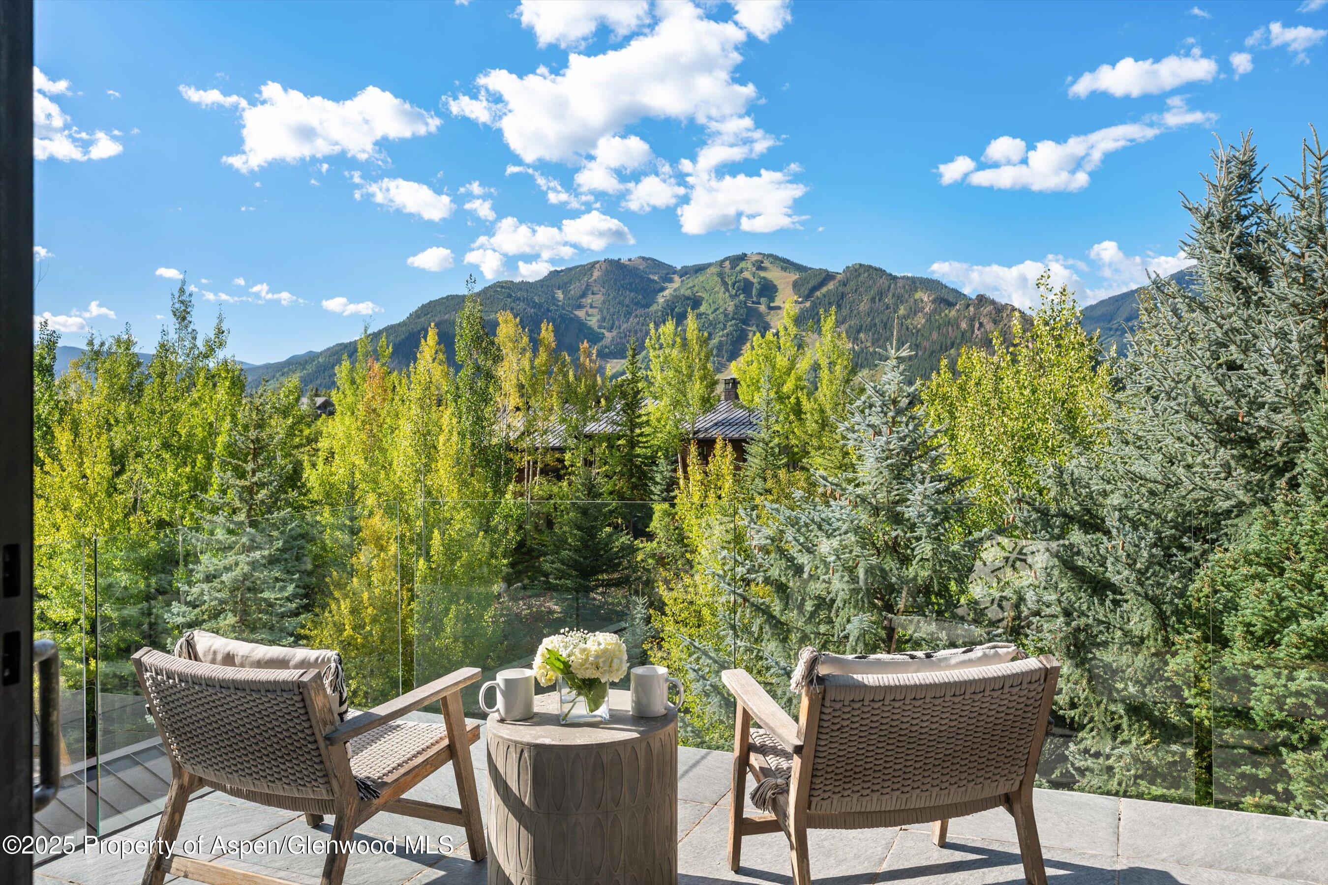 155 Nighthawk Drive Aspen, CO 81612 - Photo 3 of 35 Aspen Mountain Views