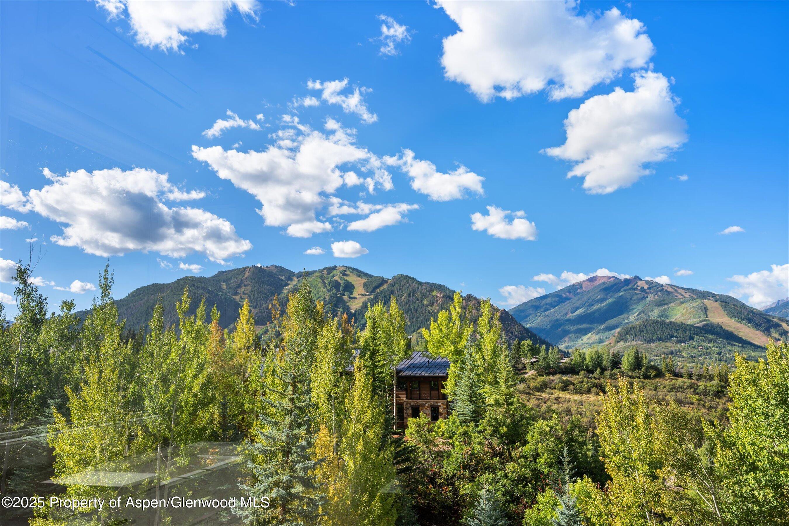 155 Nighthawk Drive Aspen, CO 81612 - Photo 35 of 35 Views