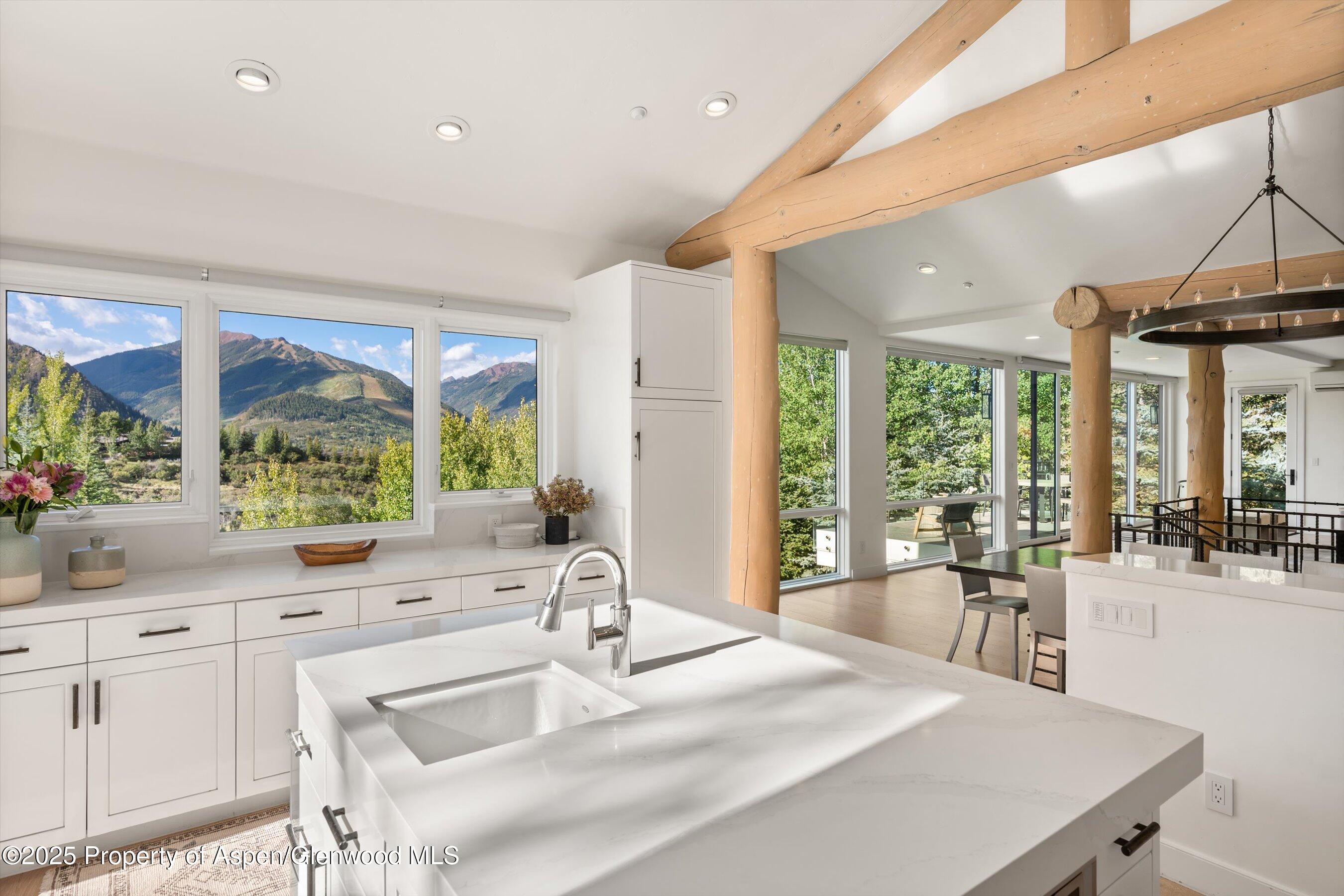 155 Nighthawk Drive Aspen, CO 81612 - Photo 9 of 35 Kitchen Views