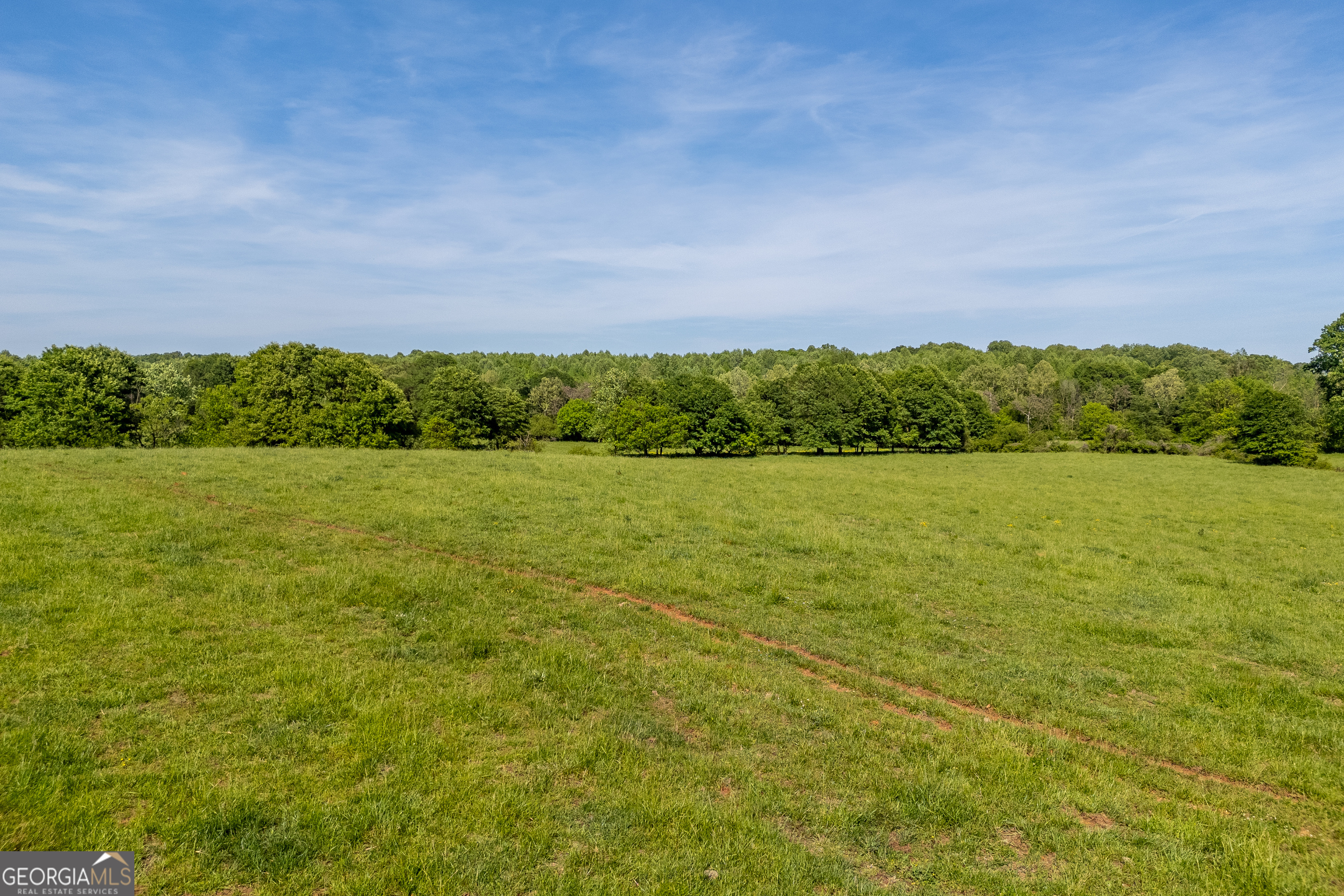 0 Turkey Creek Road, Unit TRACT 2C Carnesville, GA 30521 - Photo 1 of 1