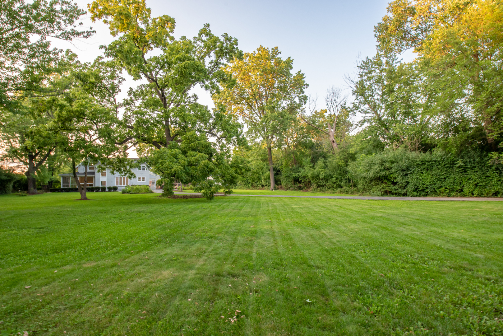 2360 Maple Road Homewood, IL 60430 - Photo 2 of 33 a view of grassy field with trees