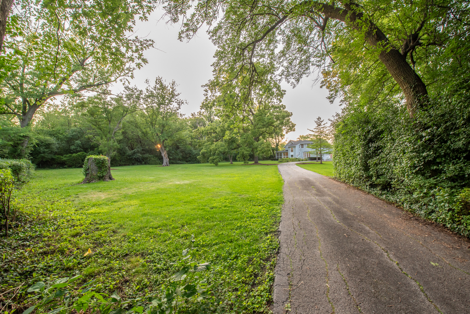 2360 Maple Road Homewood, IL 60430 - Photo 28 of 33 a view of a garden with a slide