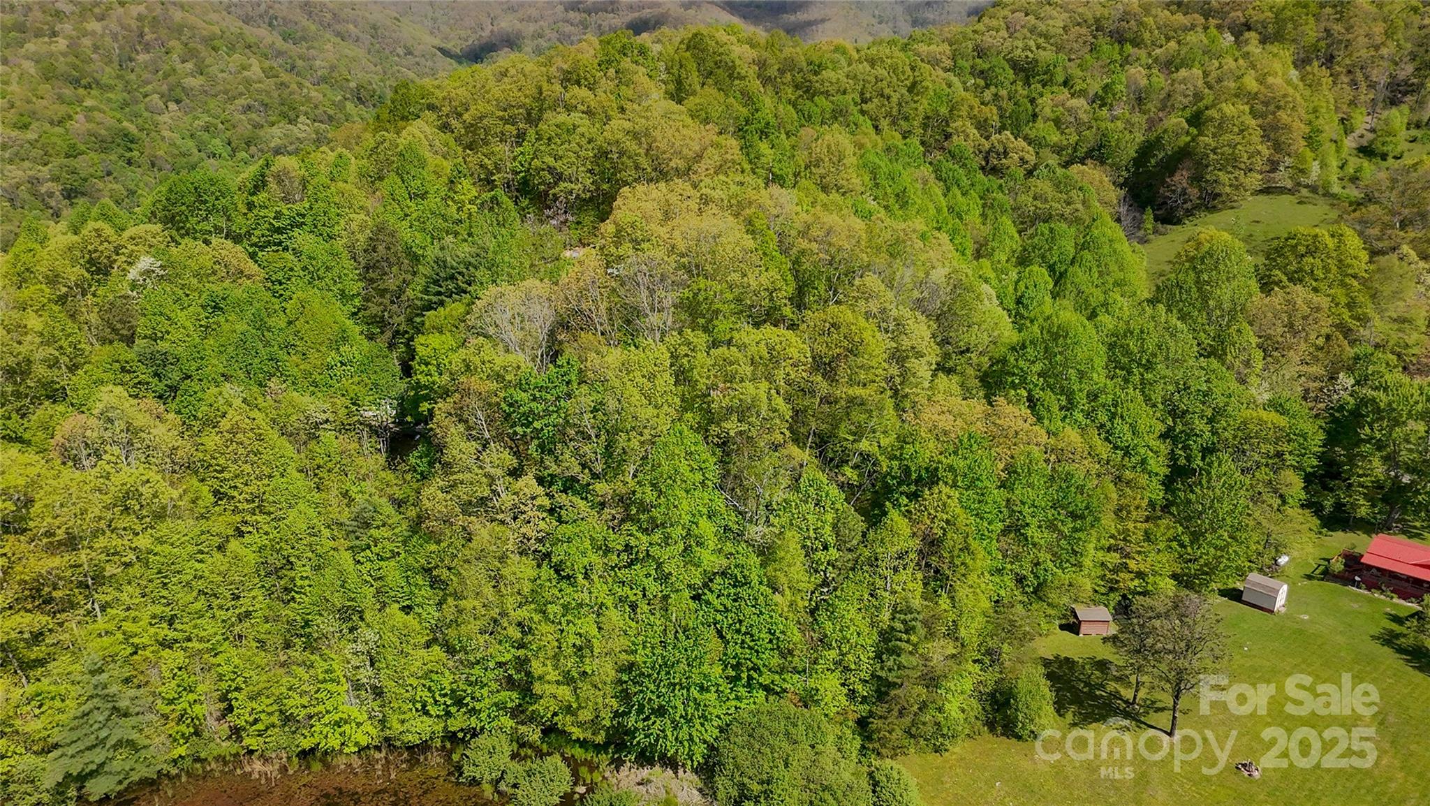 56 Hidden Valley Road Clyde, NC 28721 - Photo 27 of 30 Gallery Image 27