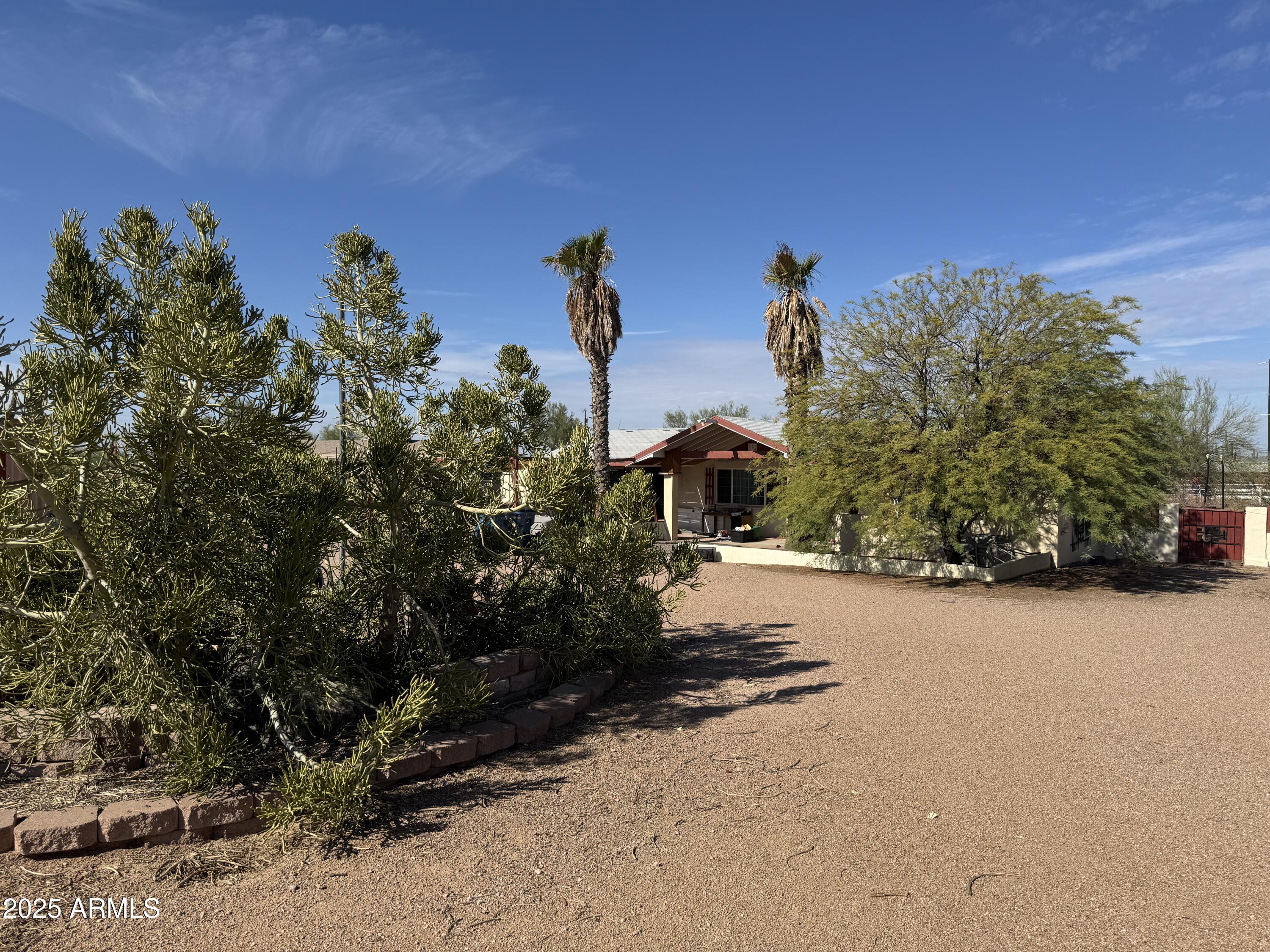 851 East Junction Street Apache Junction, AZ 85119 - Photo 1 of 13 a view of a yard with plants and a trees