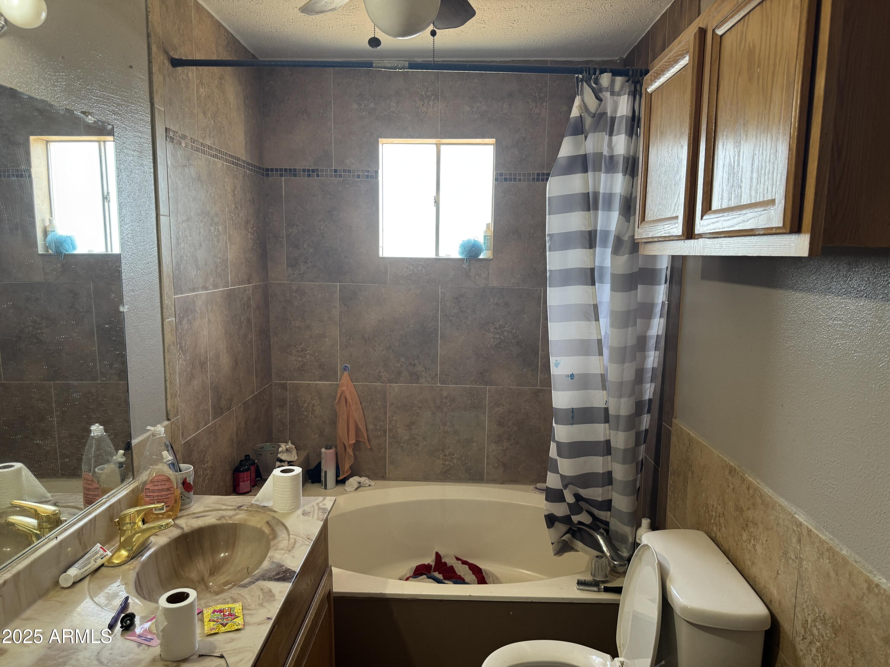 851 East Junction Street Apache Junction, AZ 85119 - Photo 13 of 13 a bathroom with a tub sink and mirror