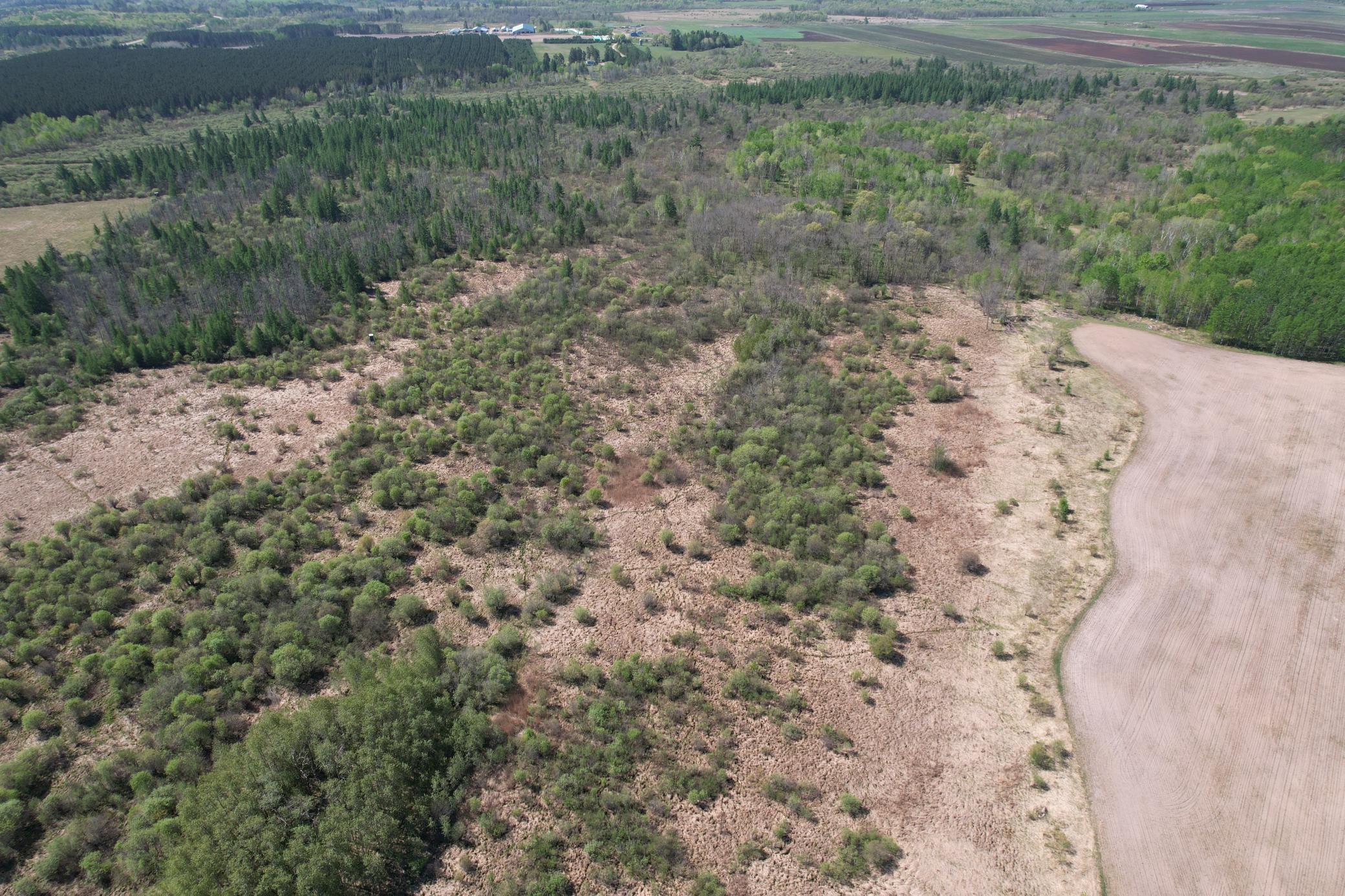 14 Sebeka Mn 56477 Sebeka, MN 56477 - Photo 9 of 79