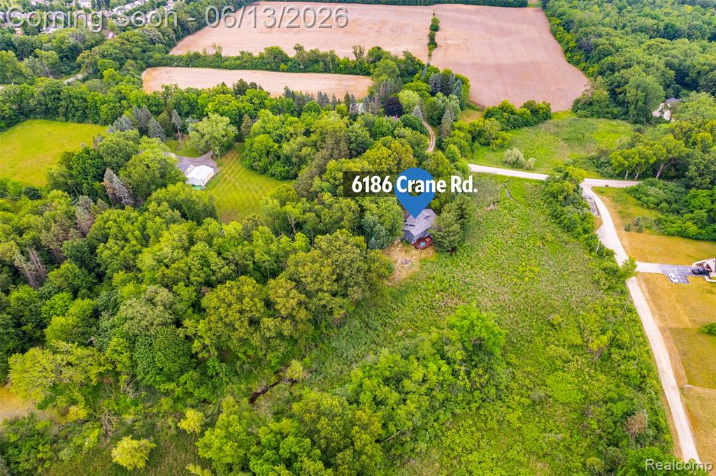 6186 Crane Road Ypsilanti, MI 48197 - Photo 47 of 53