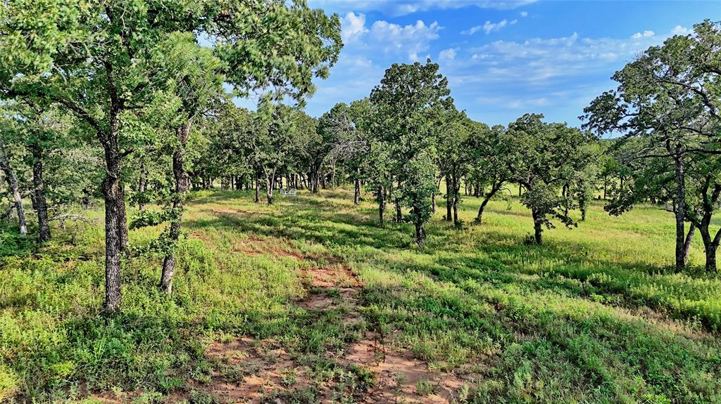 978 Longbranch Road Nocona, TX 76255 - Photo 32 of 36