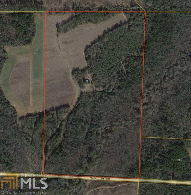 0 New Cut Road Pinehurst, GA 31070 - Photo 1 of 1 Gallery Image 1