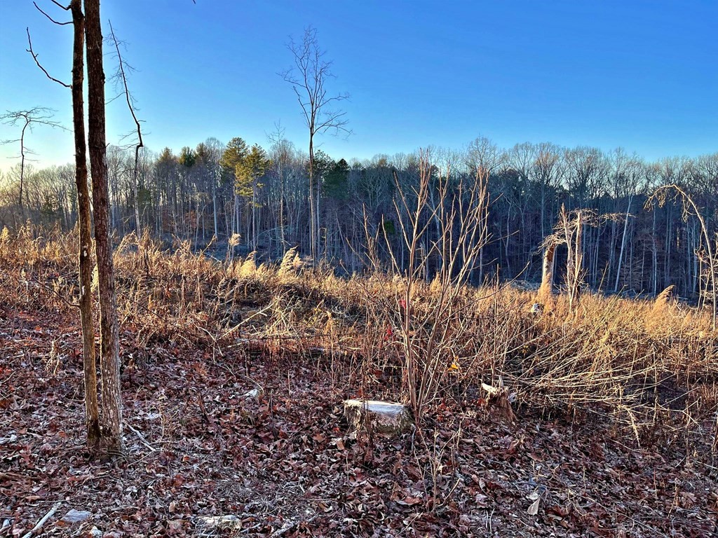 0 Suddath Road Ten Mile, TN 37880 - Photo 12 of 14 Gallery Image 12