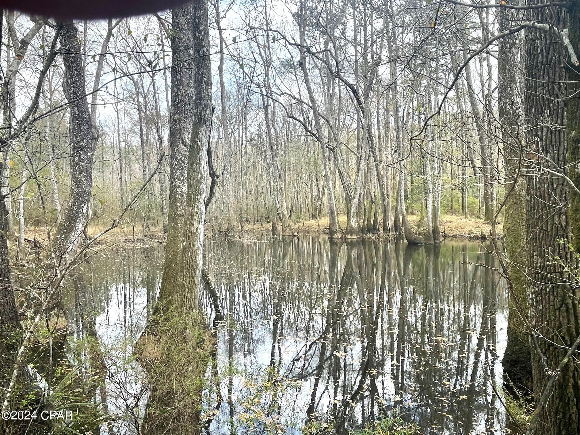 335-acres R M Ward Road Ponce de Leon, FL 32455 - Photo 32 of 37 Gallery Image 32