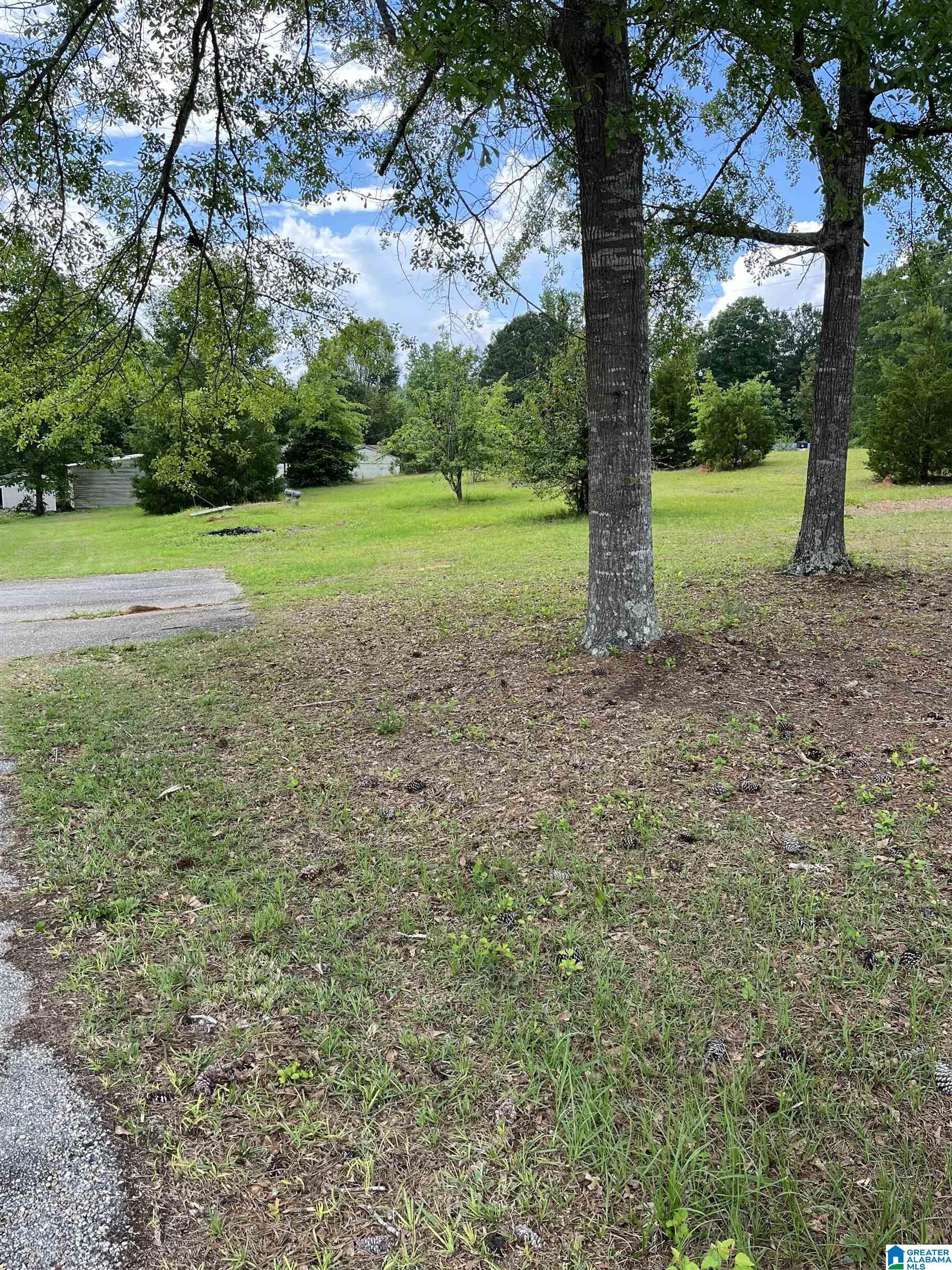 14742 Sawmill Road Coker, AL 35452 - Photo 4 of 29