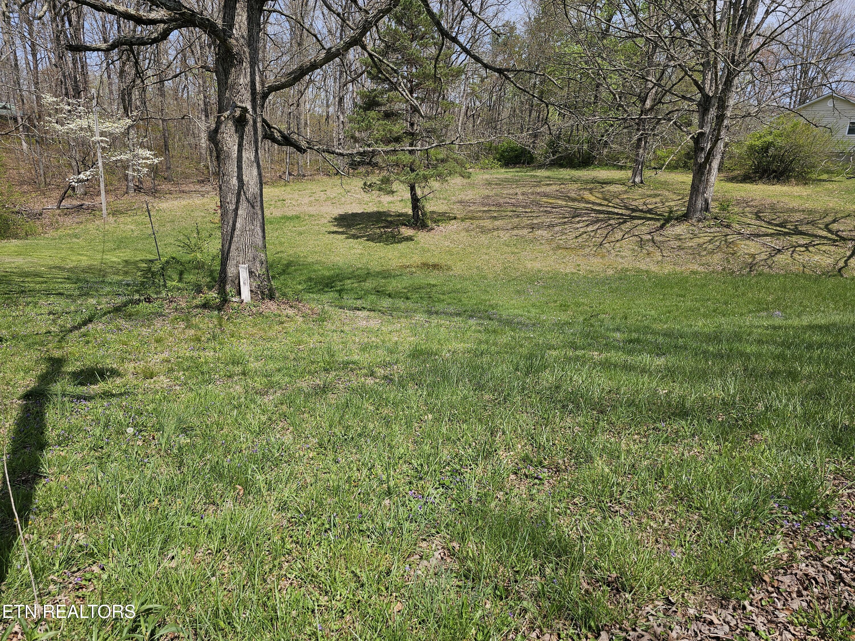 1009 Roysden Road Jamestown, TN 38556 - Photo 5 of 30 20250414_125843