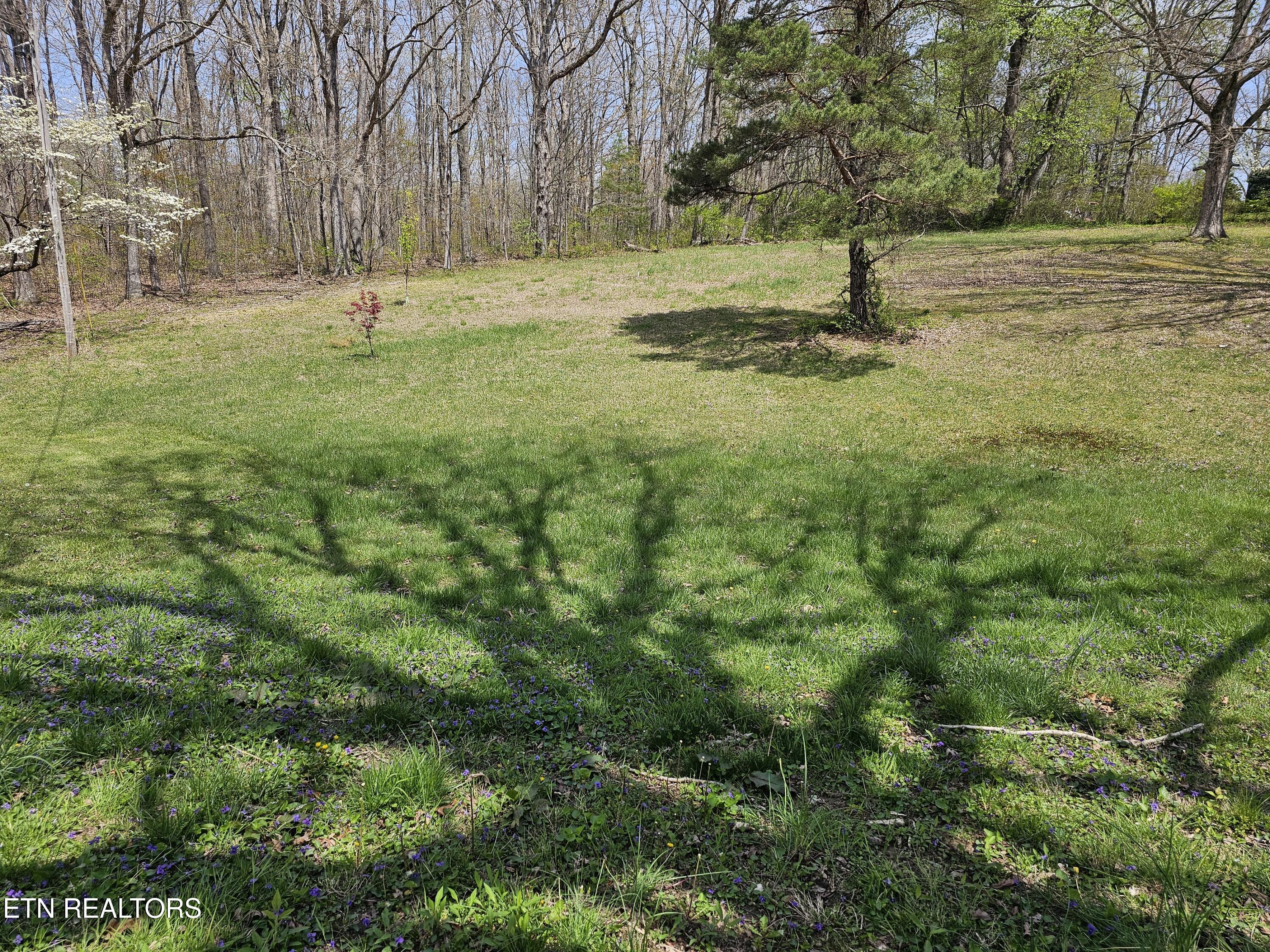 1009 Roysden Road Jamestown, TN 38556 - Photo 7 of 30 20250414_125907