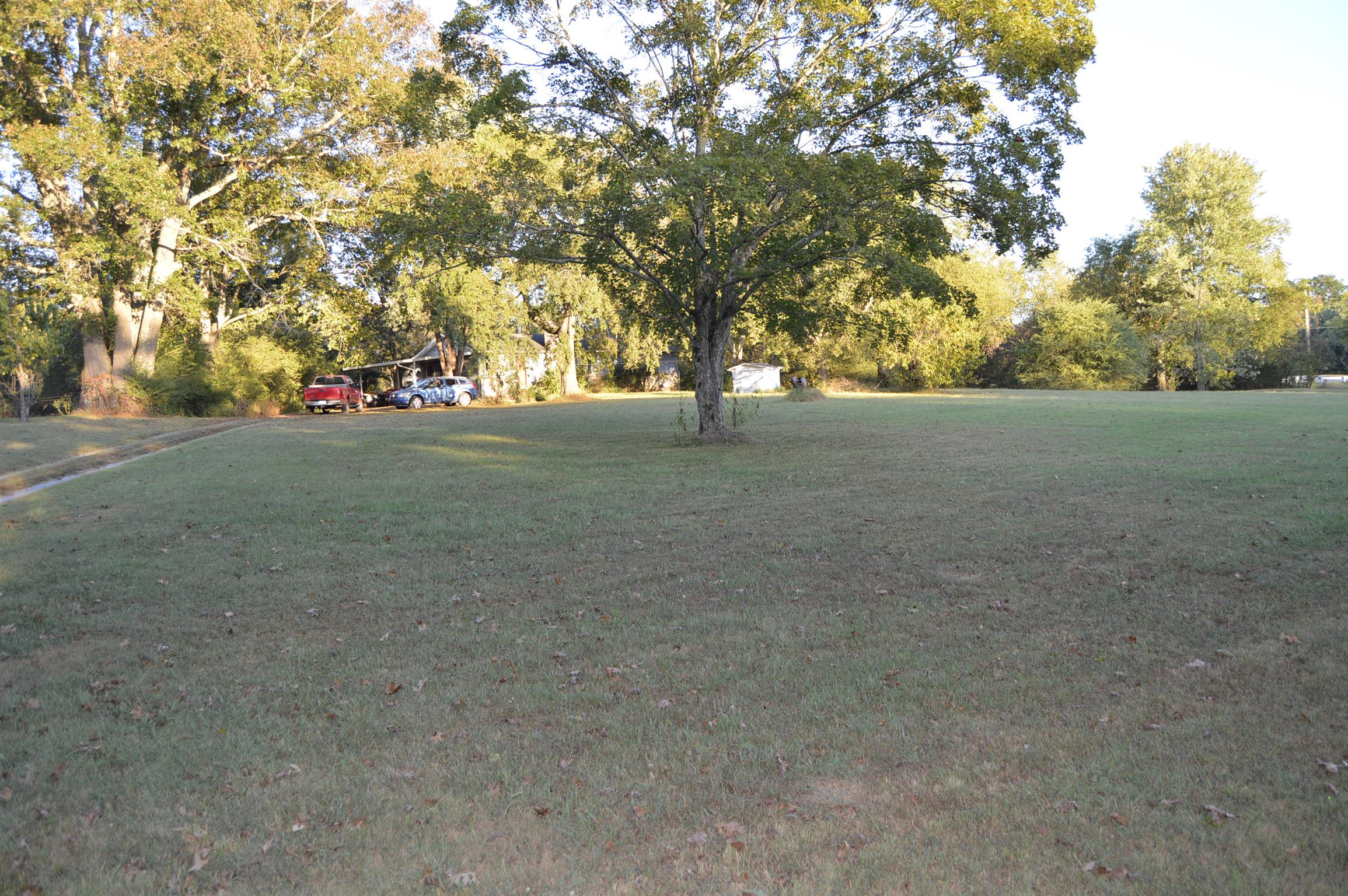 Large front yard. 