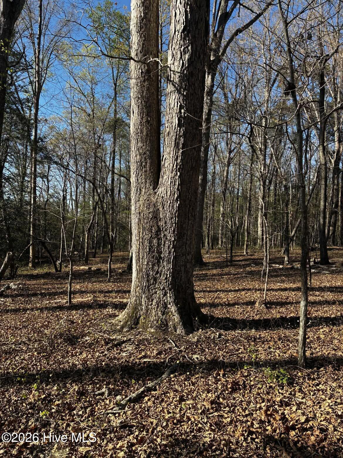 285 Kelly Road Carthage, NC 28327 - Photo 16 of 16 12